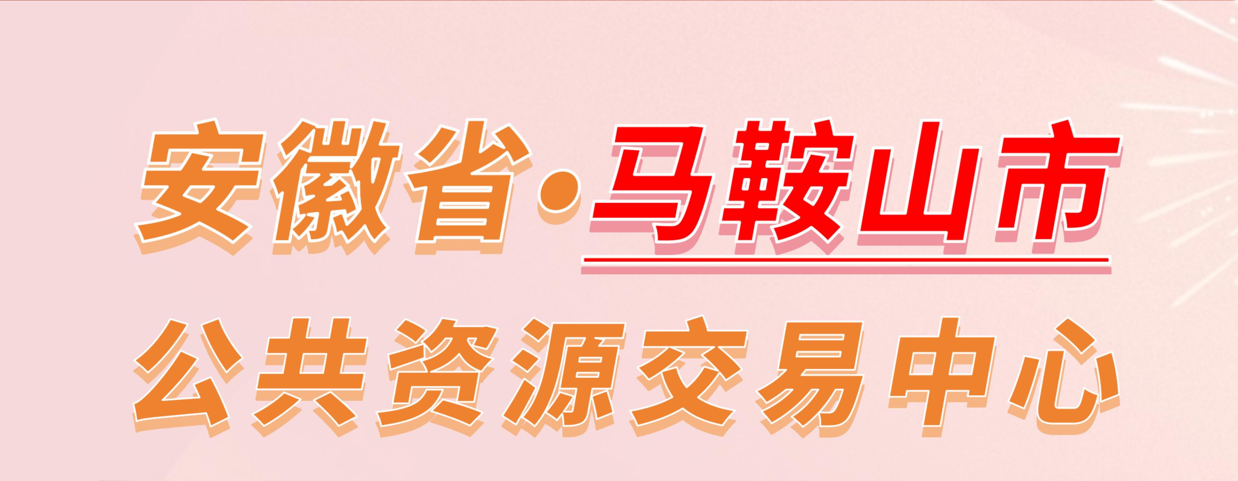 安徽省马鞍山市公共资源交易中心电子投标流程