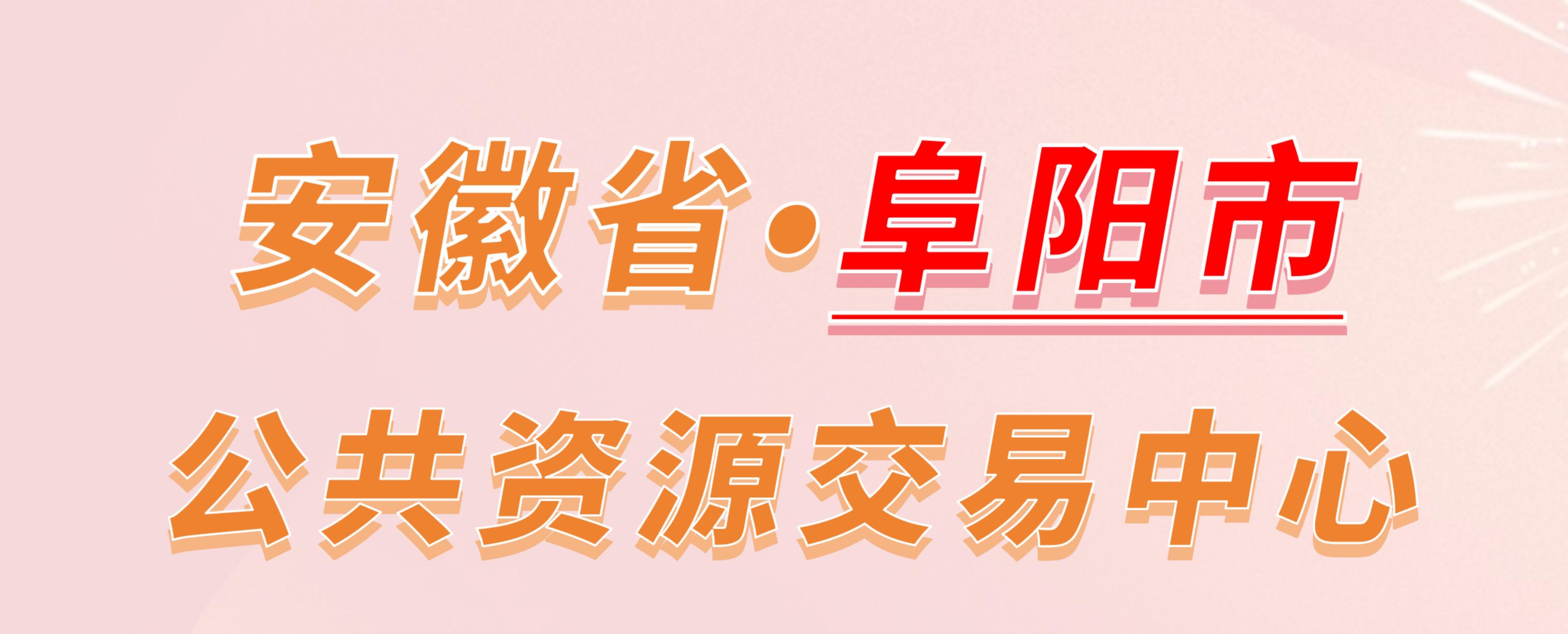 安徽省阜阳市公共资源交易中心电子投标流程