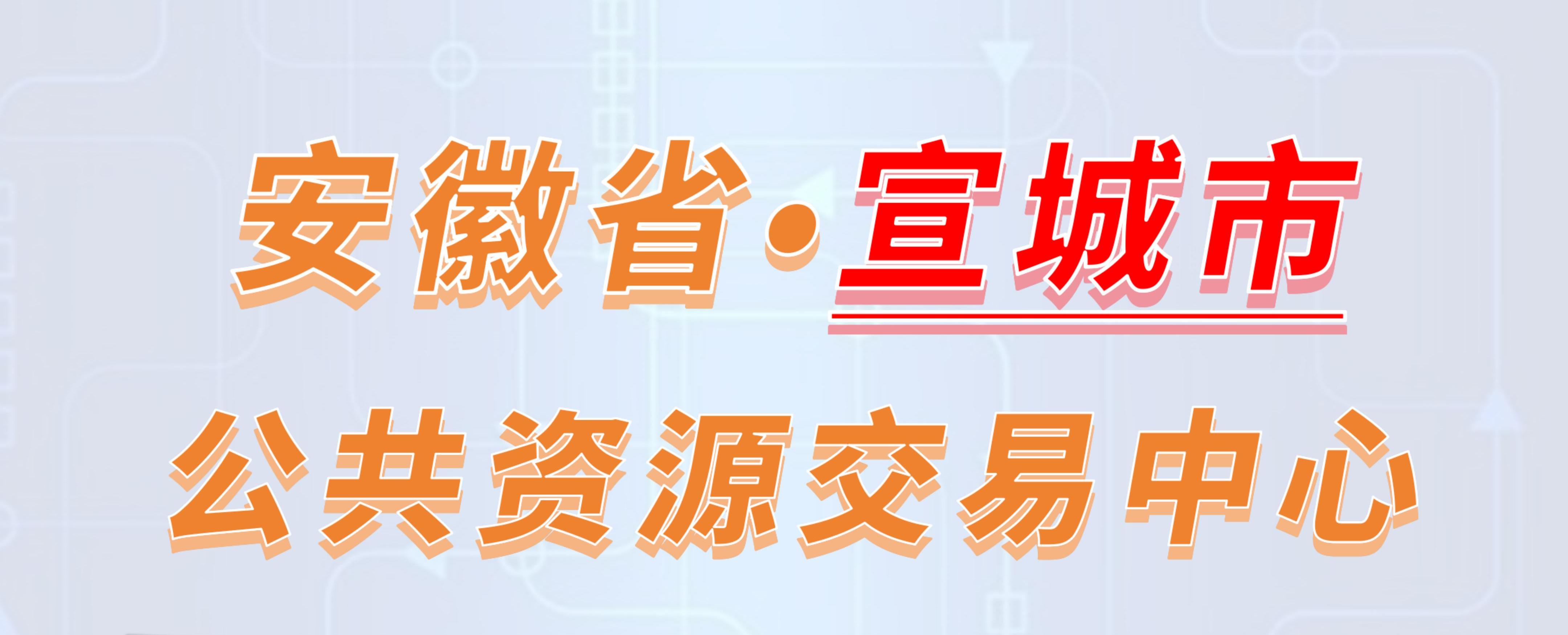 安徽省宣城市公共资源交易中心电子投标流程