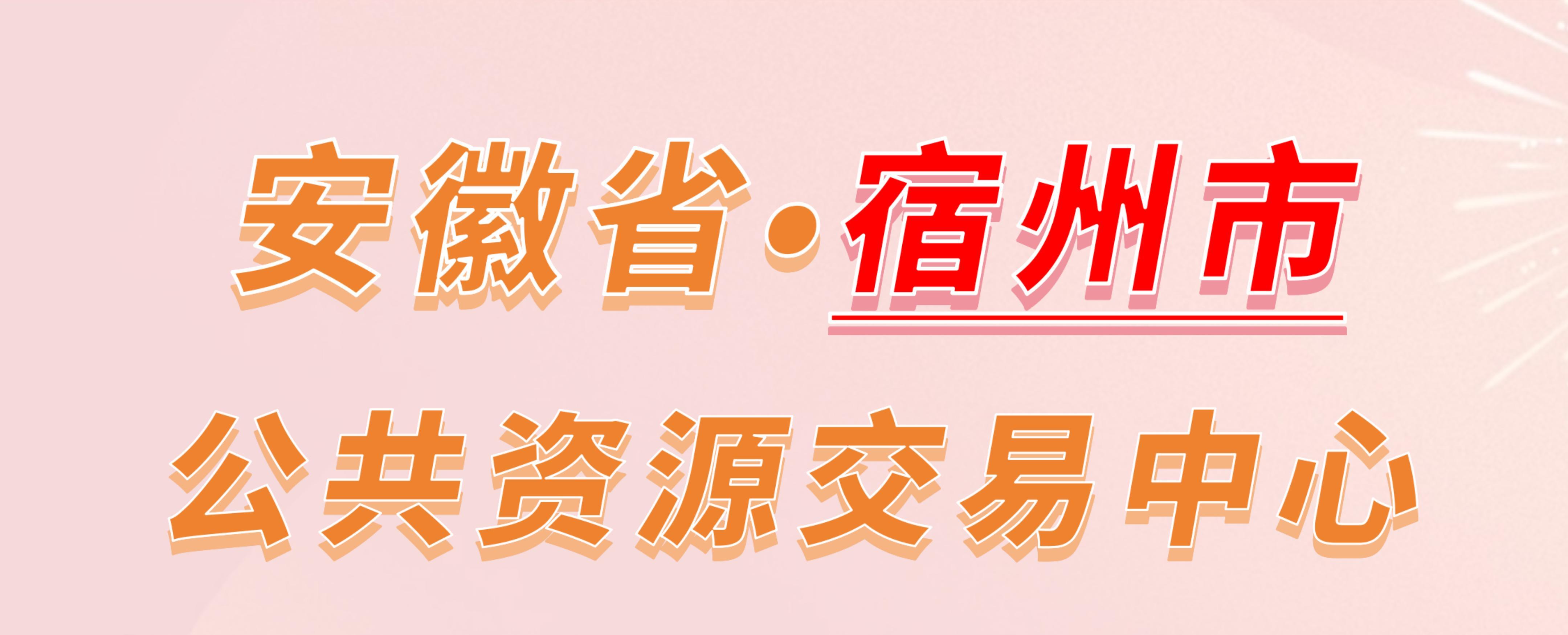 安徽省宿州市公共资源交易中心电子投标流程