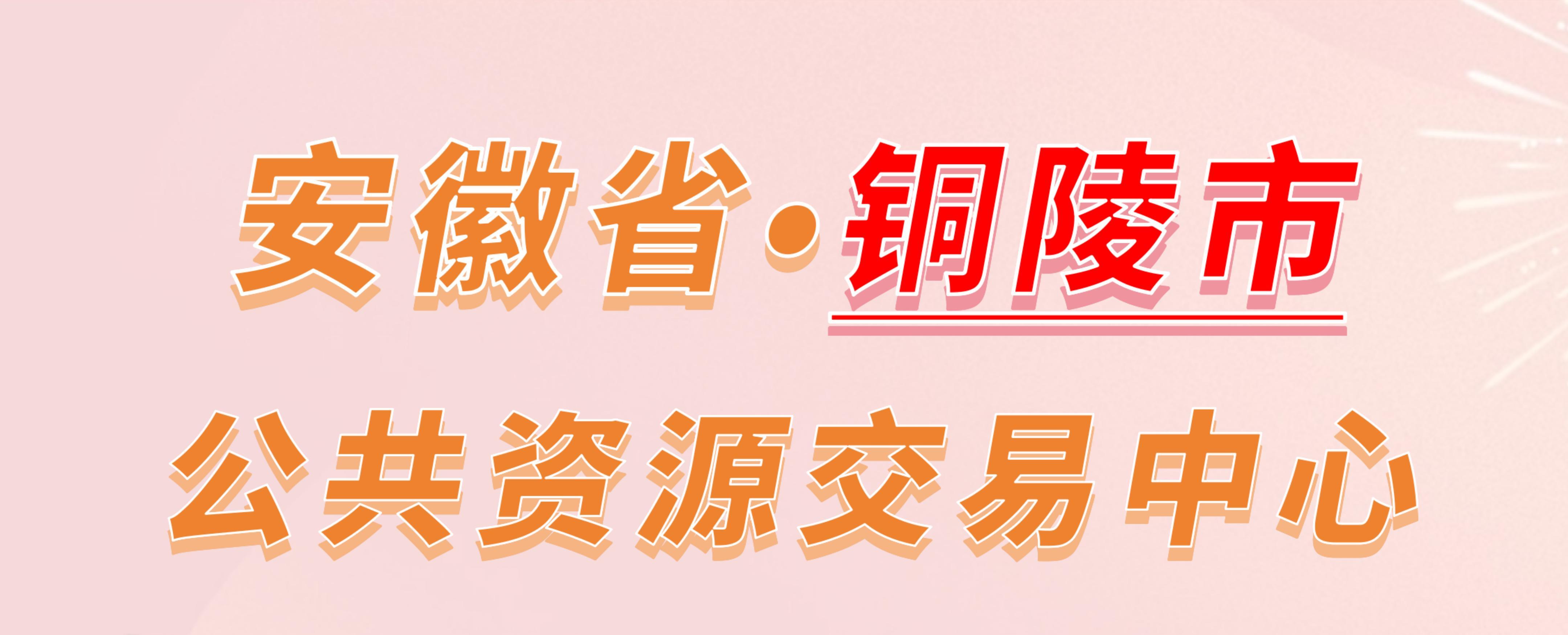安徽省铜陵市公共资源交易中心电子投标流程