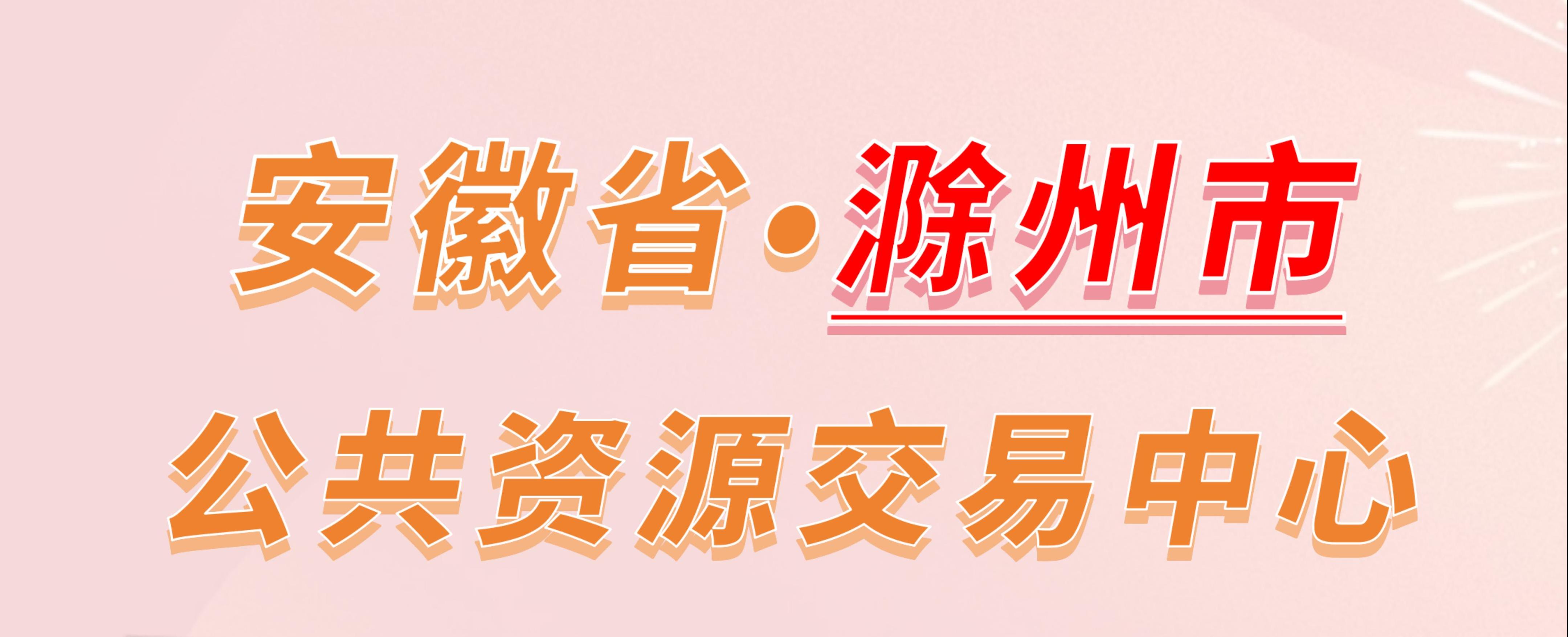 安徽省滁州市公共资源交易中心电子投标流程