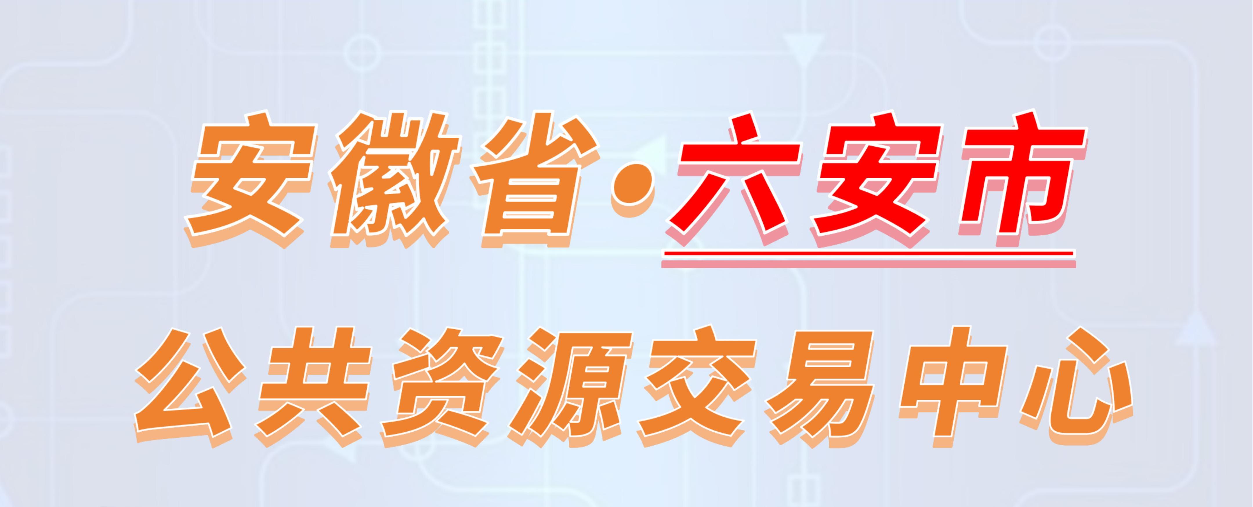 安徽省六安市公共资源交易中心电子投标流程