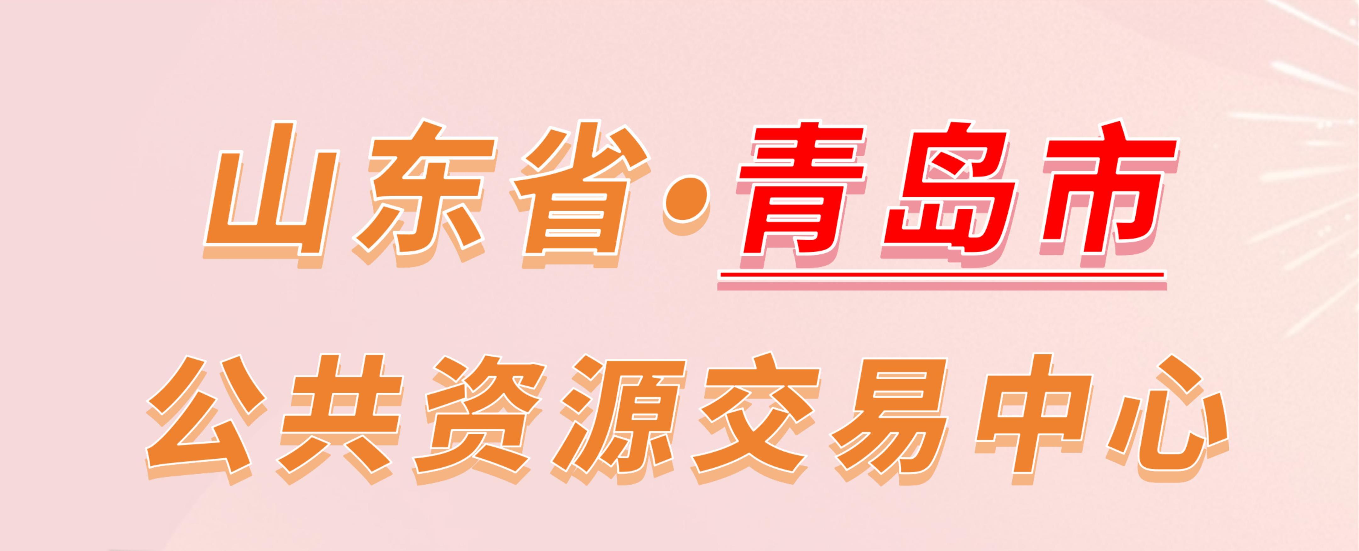 山东省青岛市公共资源交易中心电子投标流程