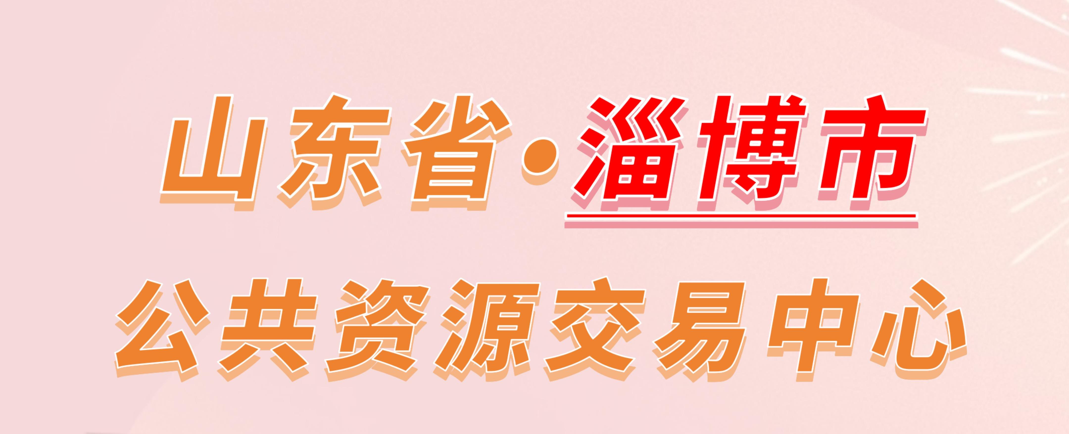山东省淄博市公共资源交易中心电子投标流程