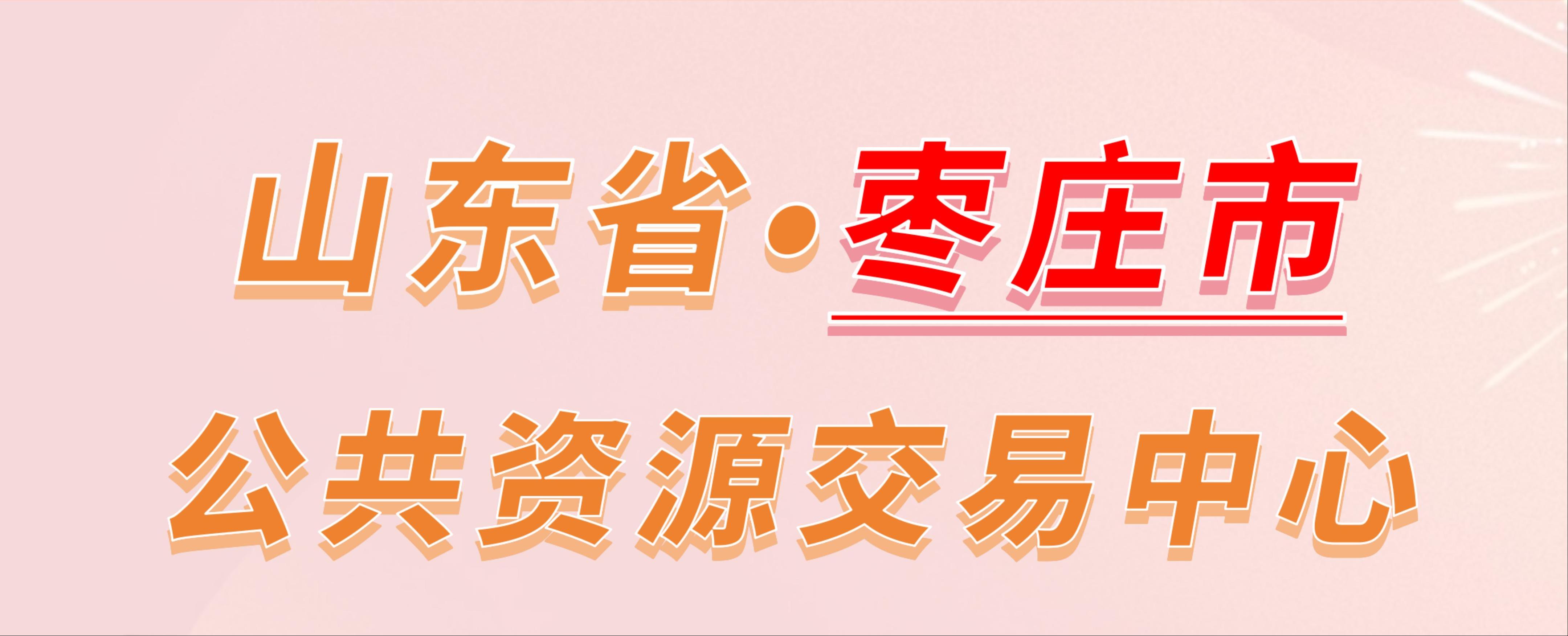 山东省枣庄市公共资源交易中心电子投标流程