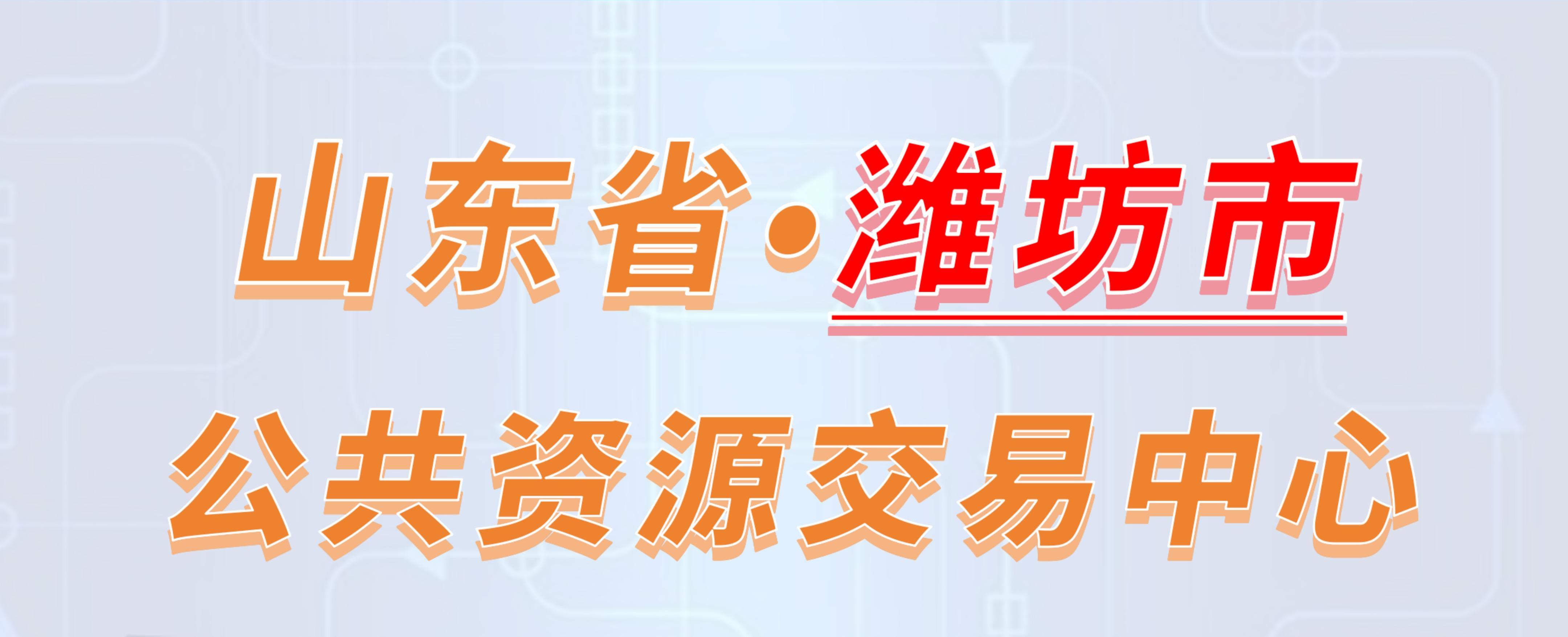 山东省潍坊市公共资源交易中心电子投标流程
