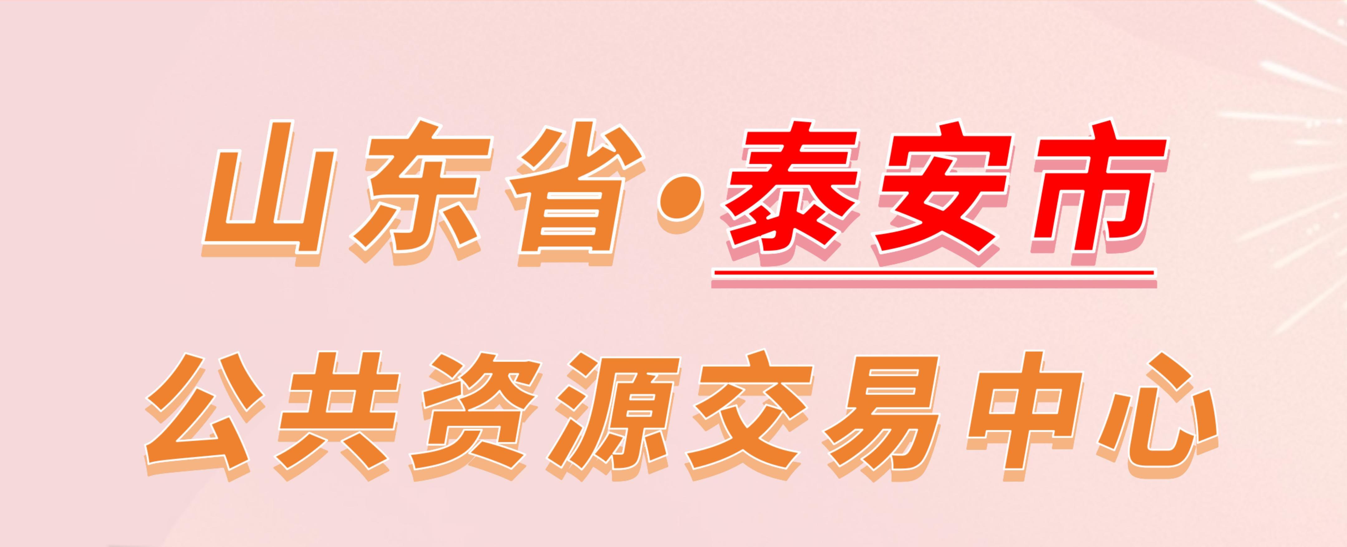 山东省泰安市公共资源交易中心电子投标流程