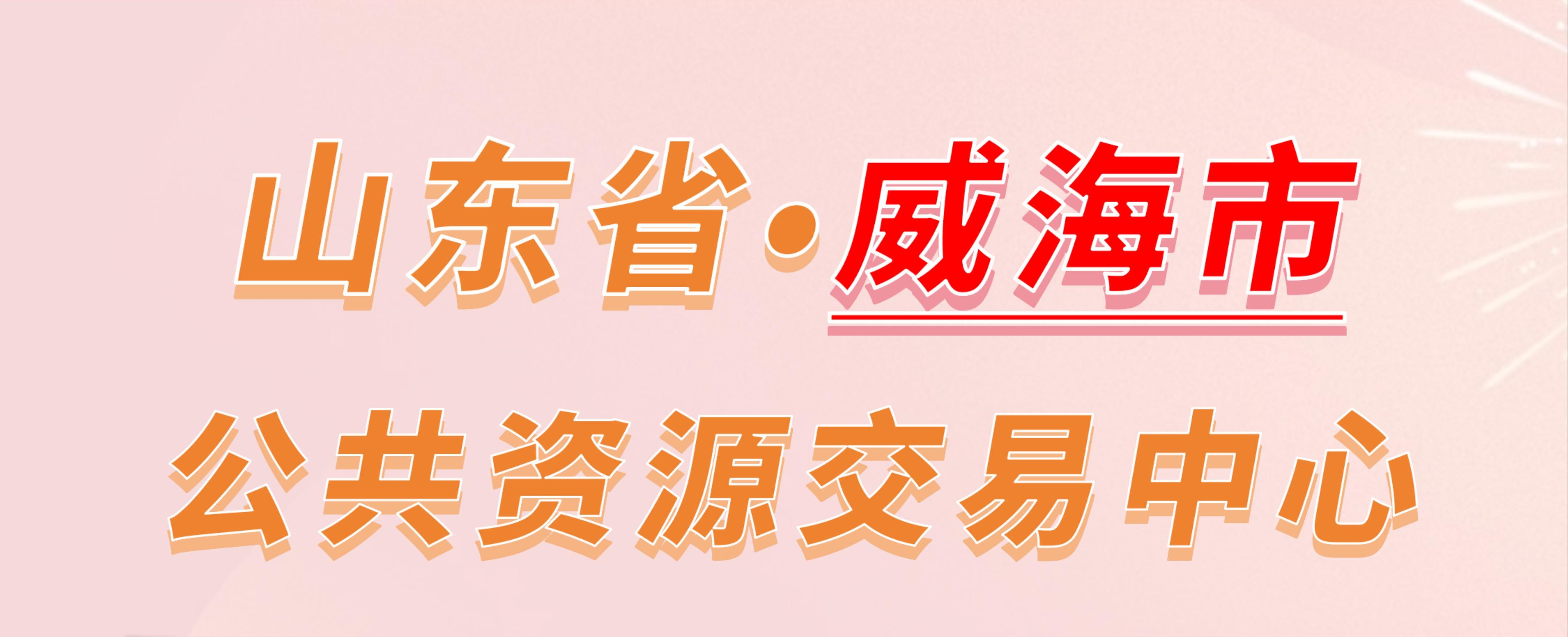 山东省威海市公共资源交易中心电子投标流程