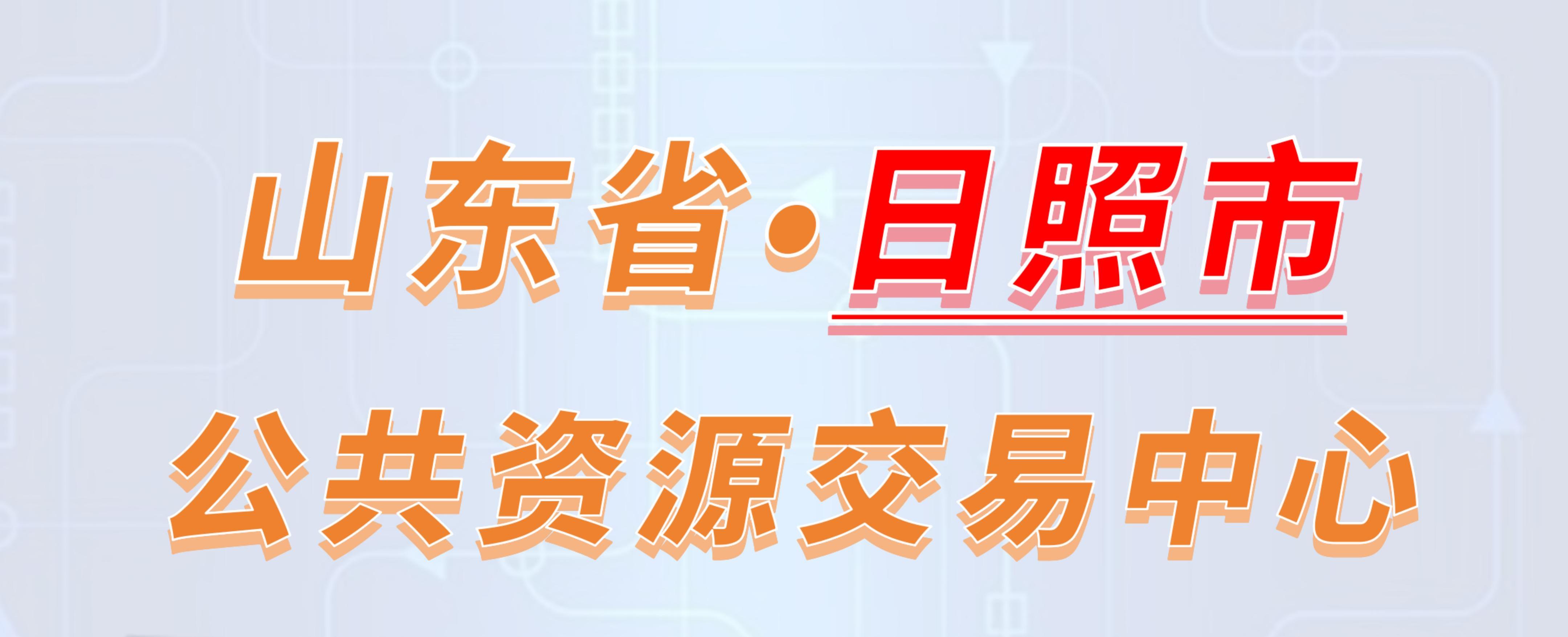 山东省日照市公共资源交易中心电子投标流程