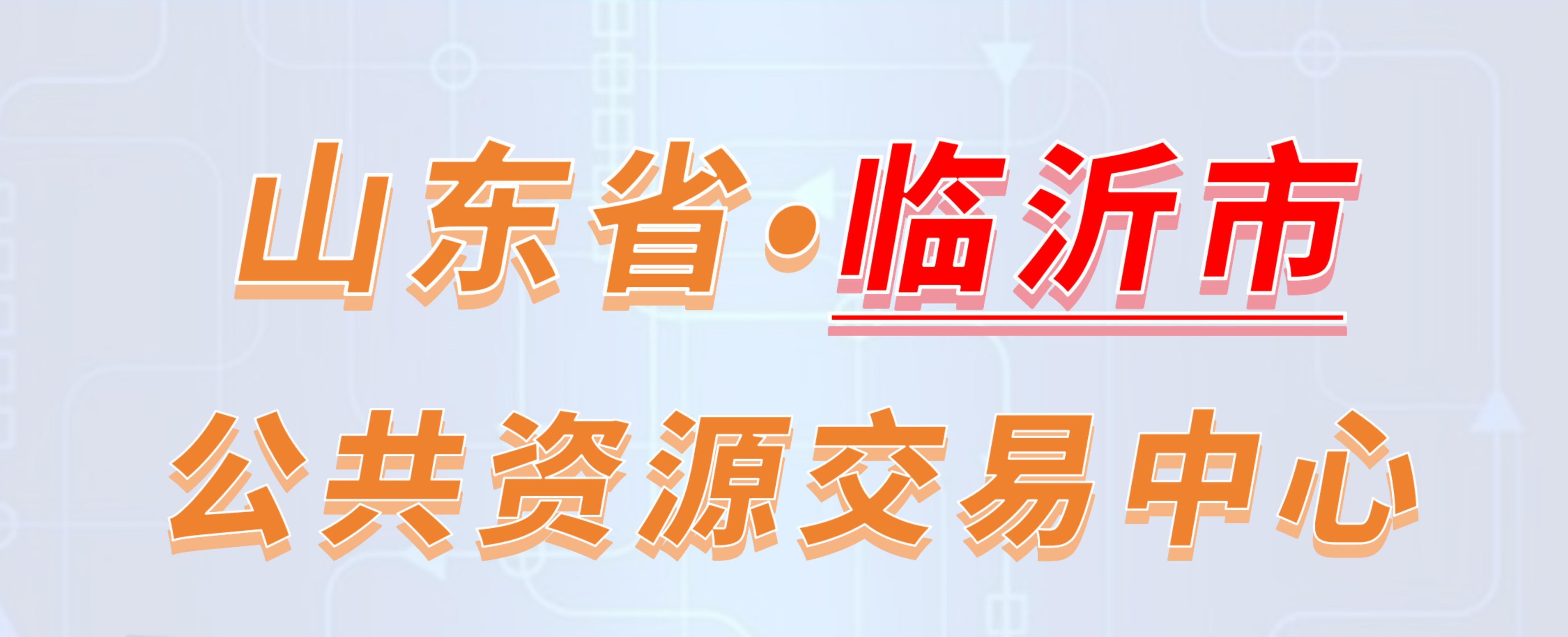 山东省临沂市公共资源交易中心电子投标流程