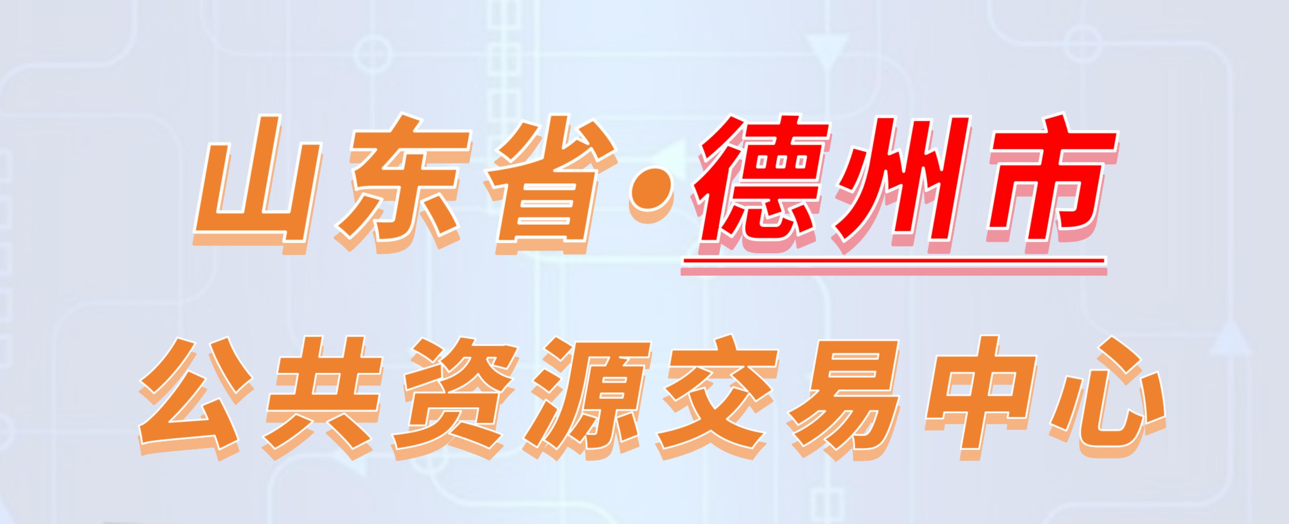 山东省德州市公共资源交易中心电子投标流程