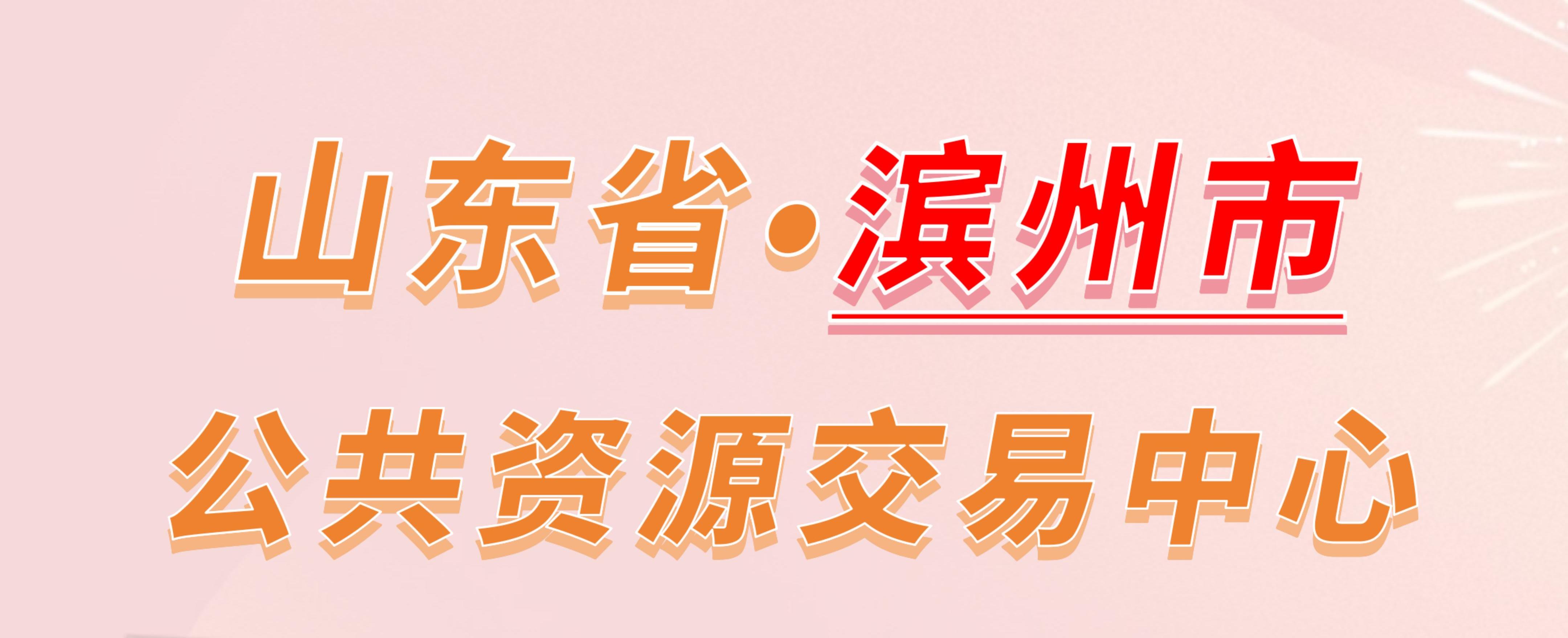 山东省滨州市公共资源交易中心电子投标流程