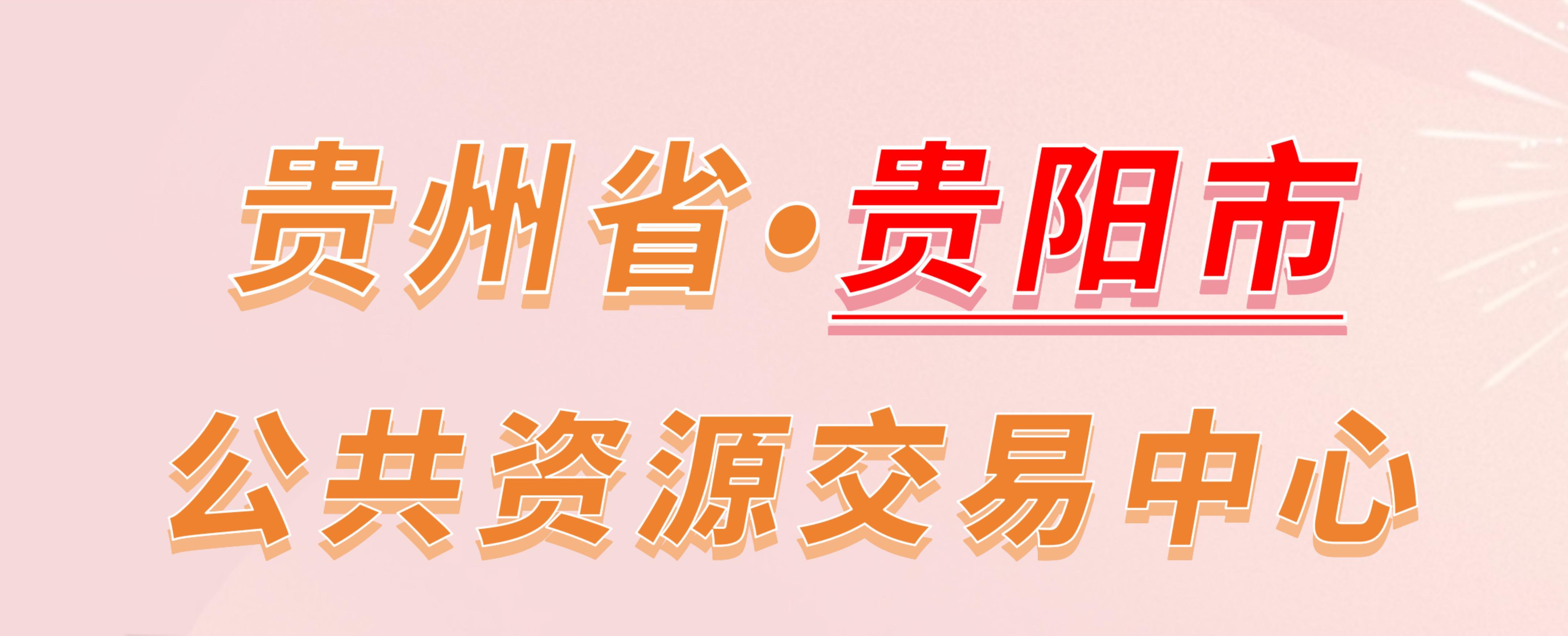 贵州省贵阳市公共资源交易中心电子投标流程