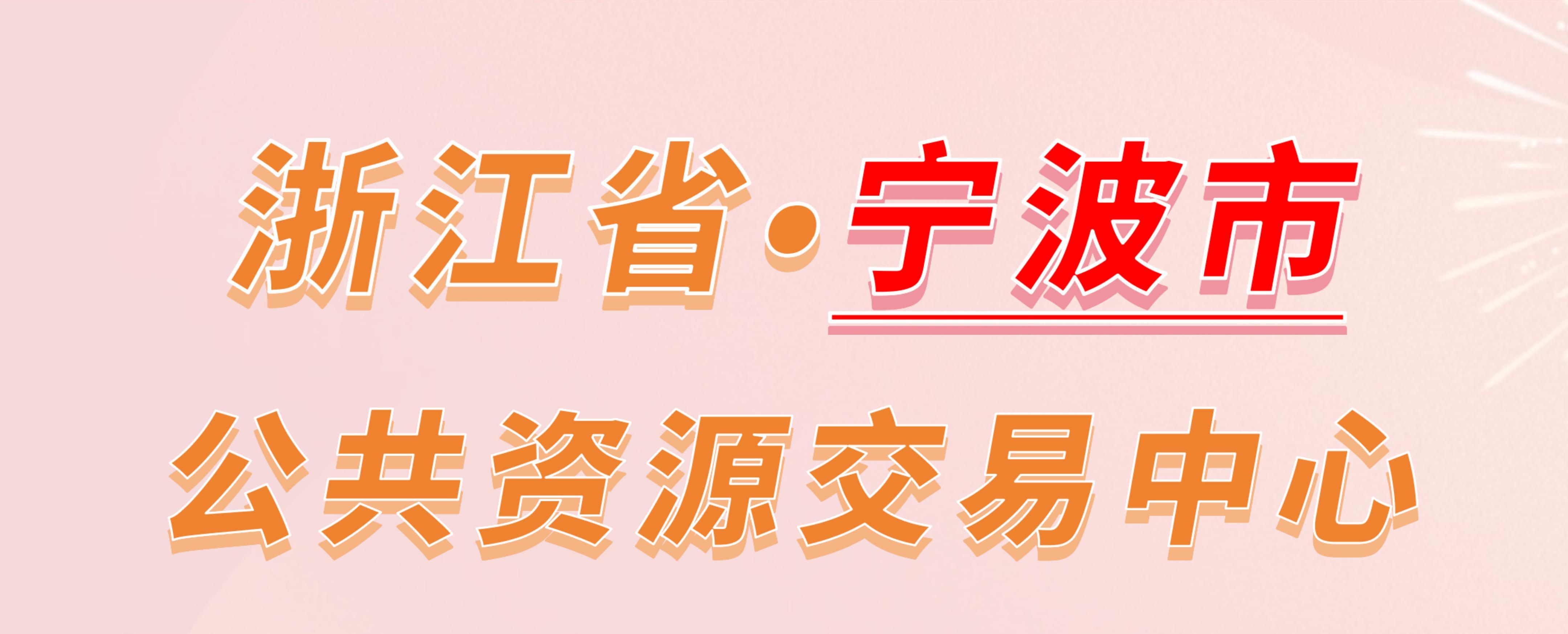 浙江省宁波市公共资源交易中心电子投标流程
