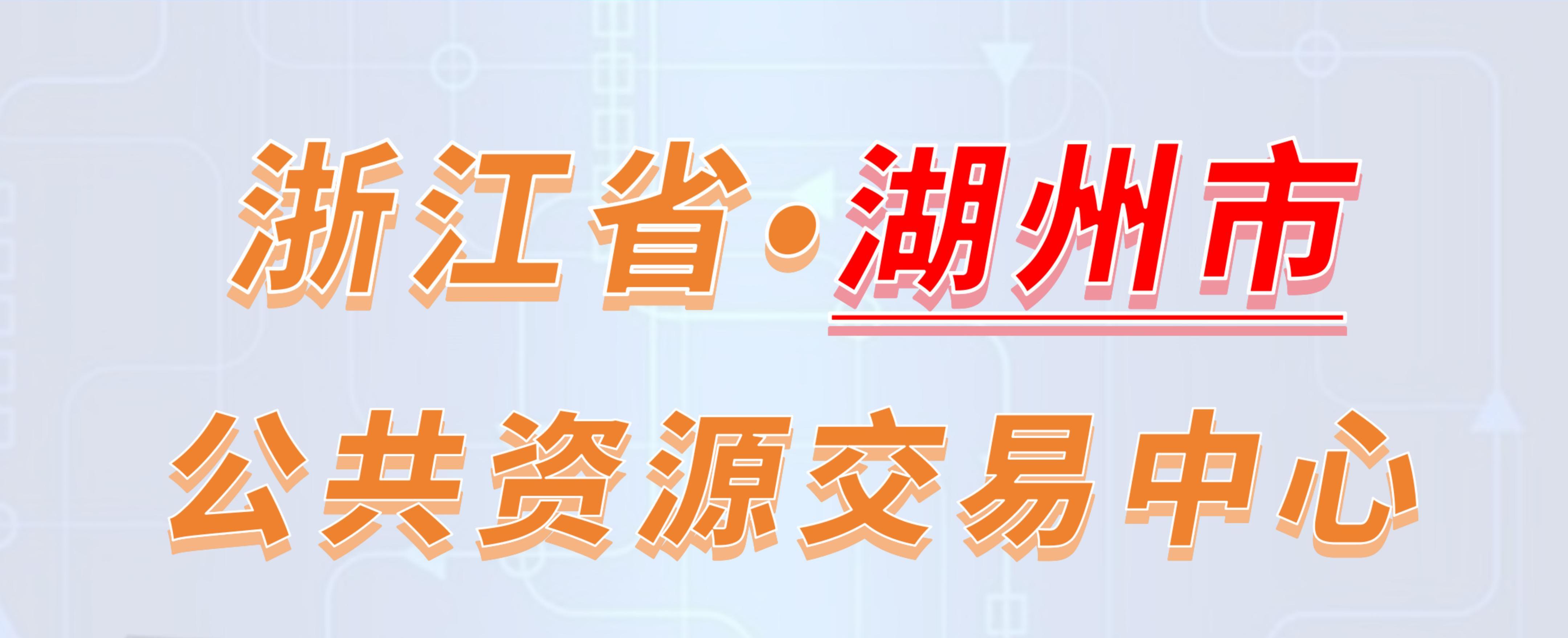 浙江省湖州市公共资源交易中心电子投标流程