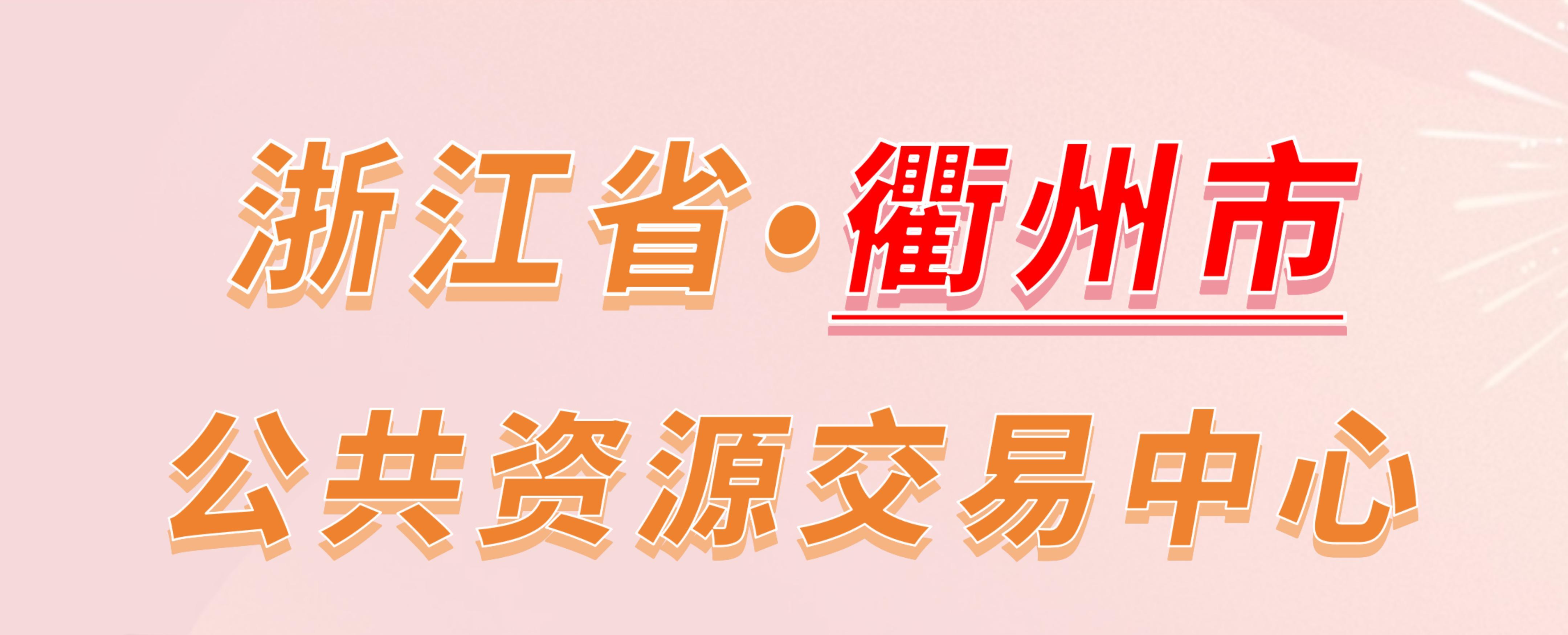 浙江省衢州市公共资源交易中心电子投标流程