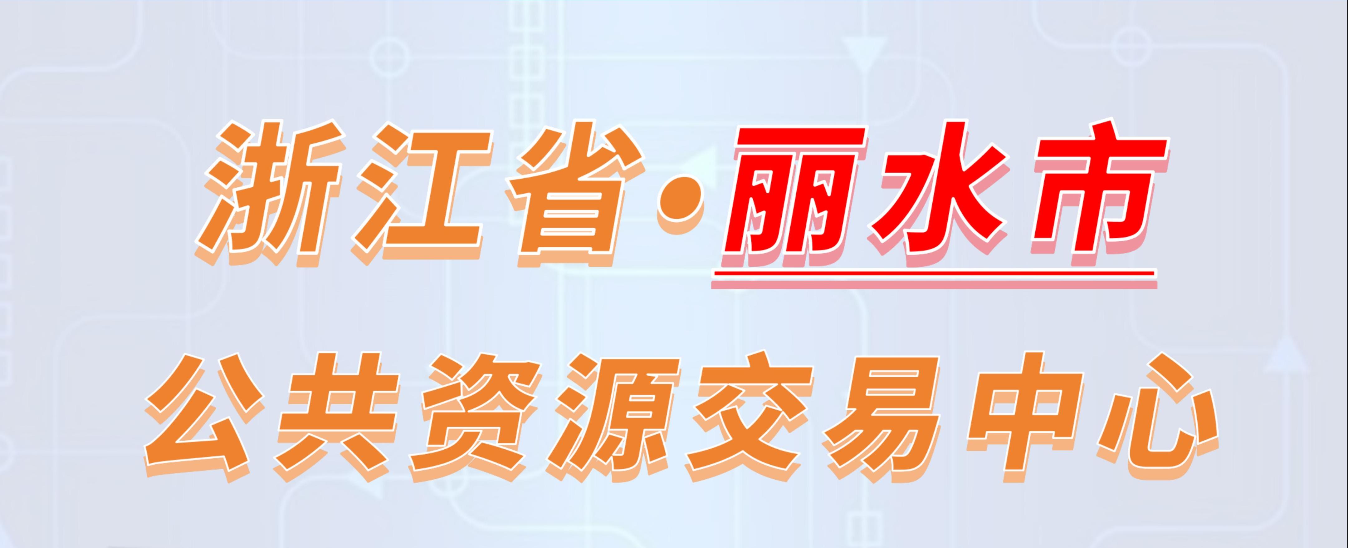 浙江省丽水市公共资源交易中心电子投标流程