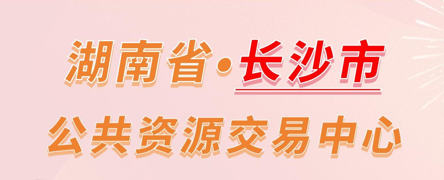 湖南省长沙市公共资源交易中心电子投标流程