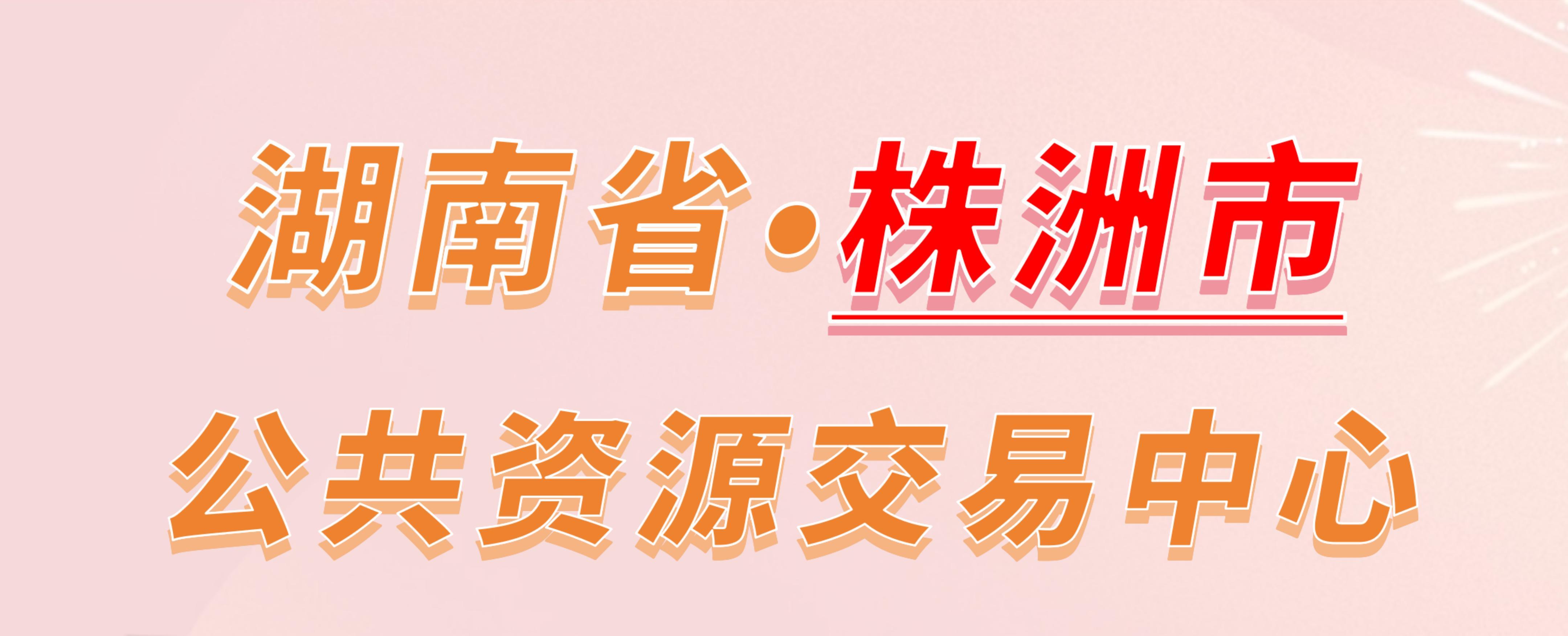 湖南省株洲市公共资源交易中心电子投标流程