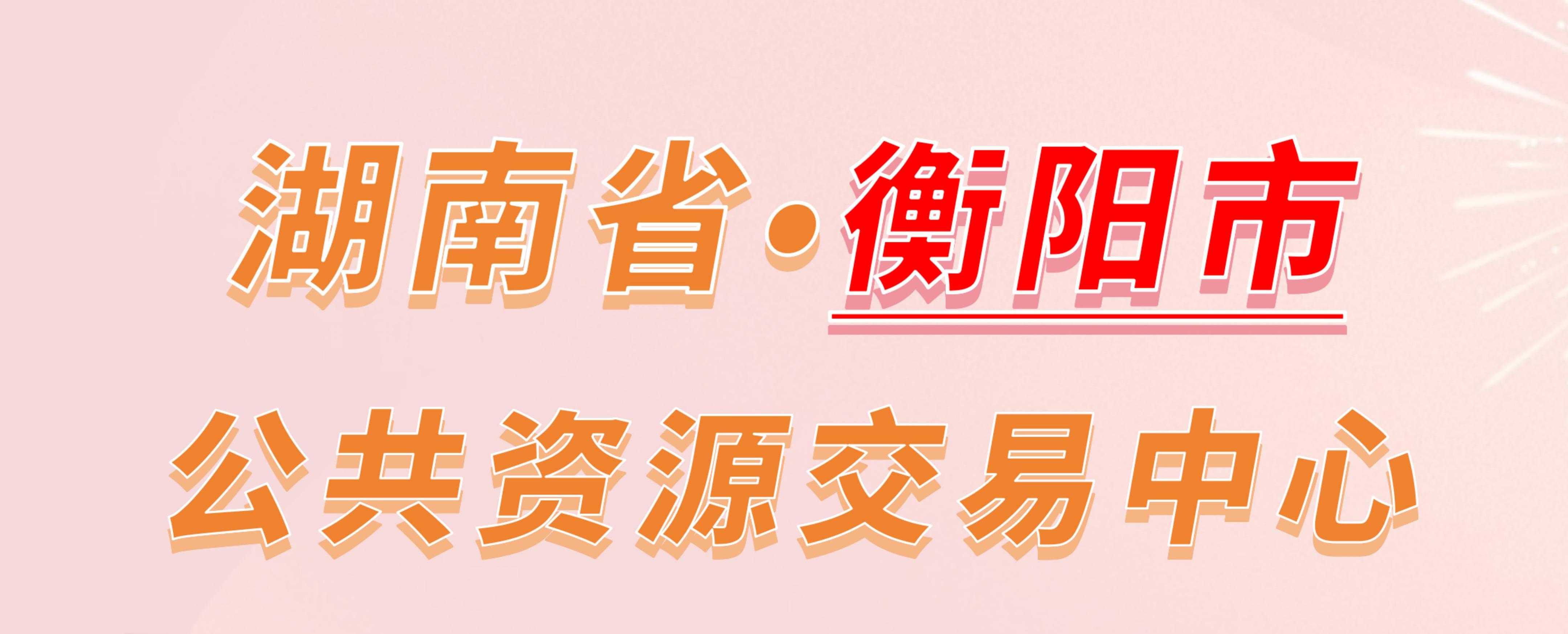 湖南省衡阳市公共资源交易中心电子投标流程