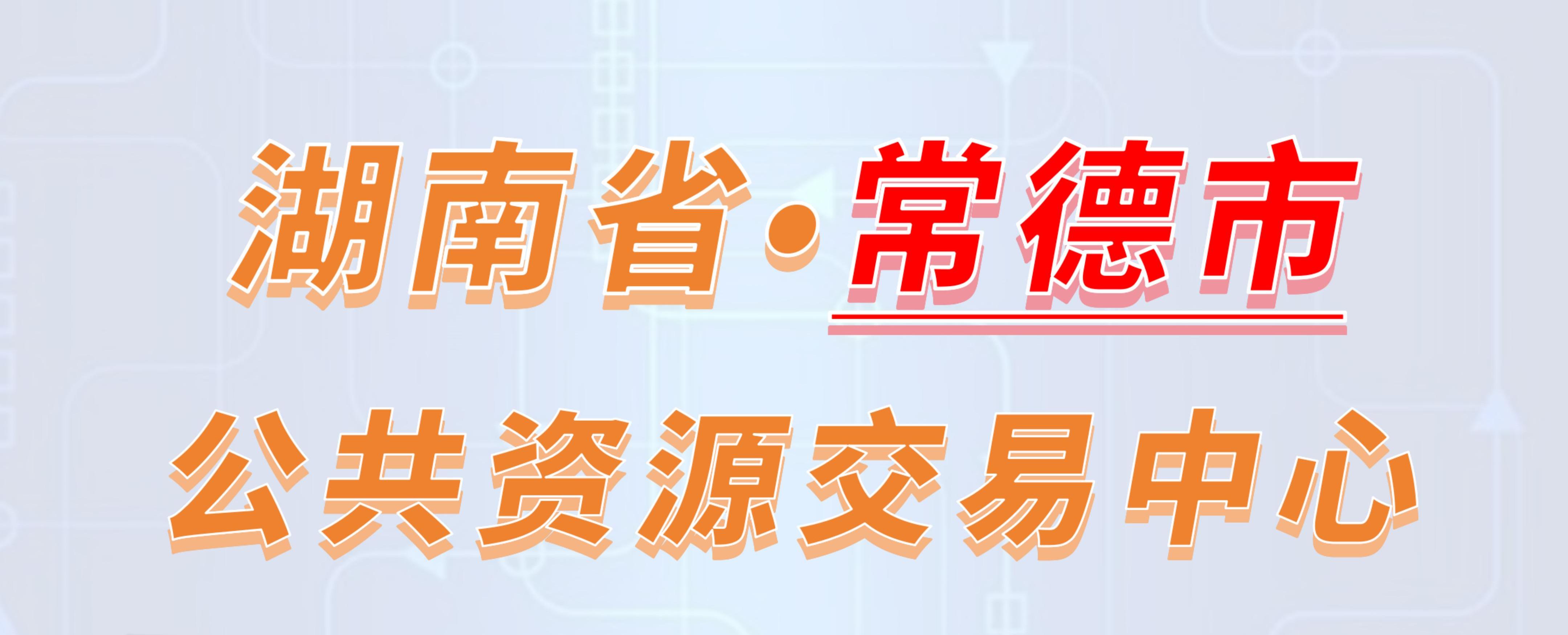 湖南省常德市公共资源交易中心电子投标流程