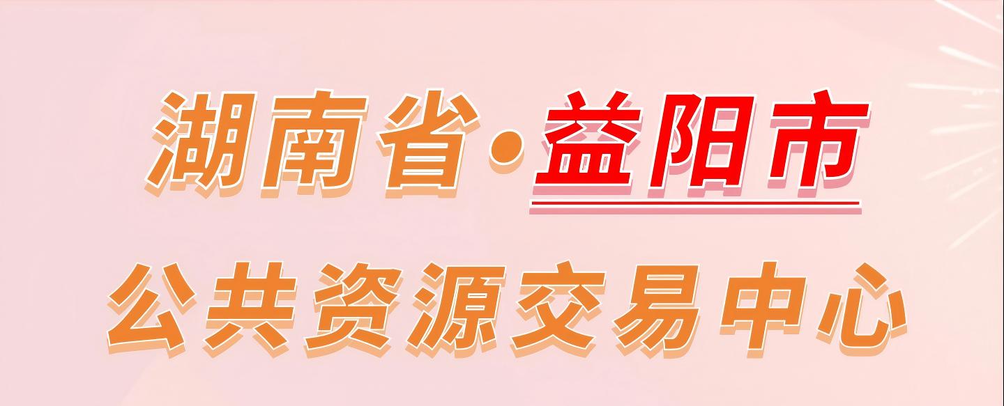 湖南省益阳市公共资源交易中心电子投标流程