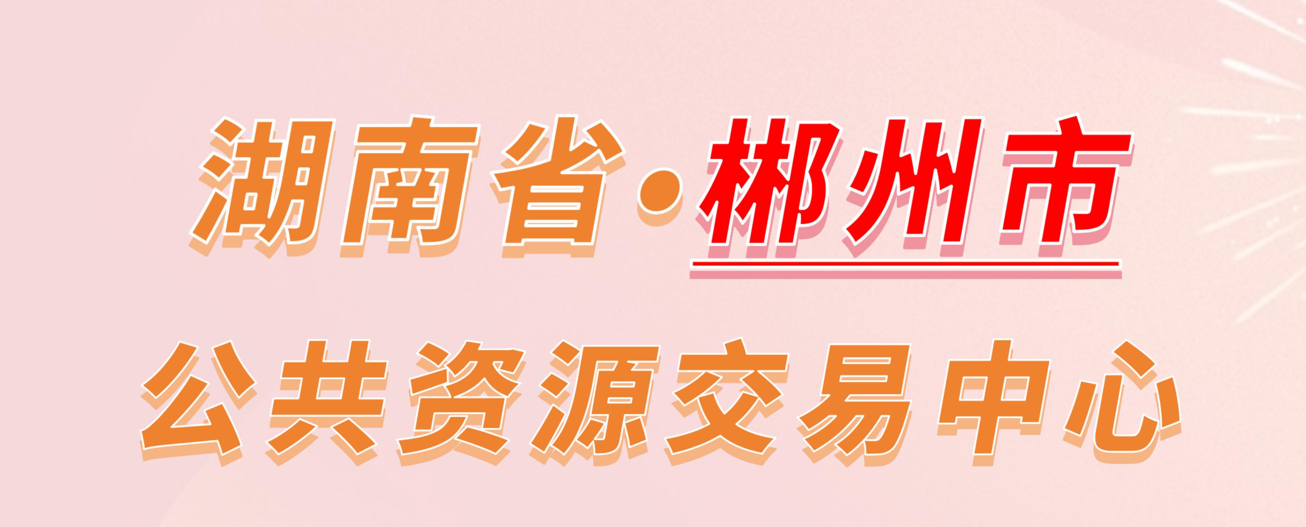 湖南省郴州市公共资源交易中心电子投标流程