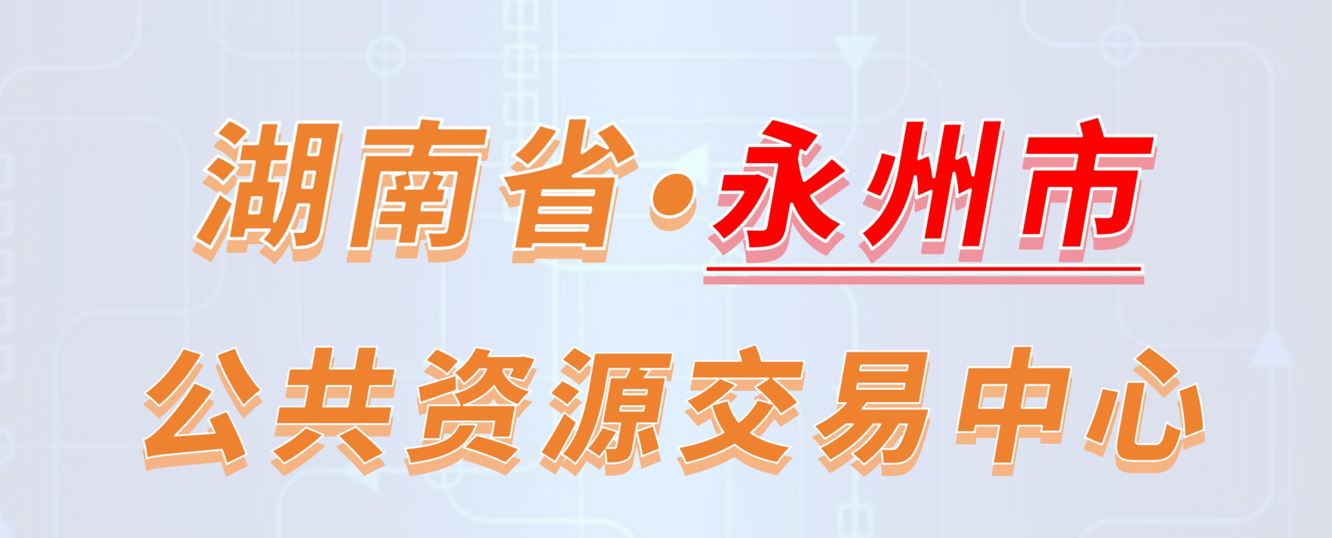 湖南省永州市公共资源交易中心电子投标流程
