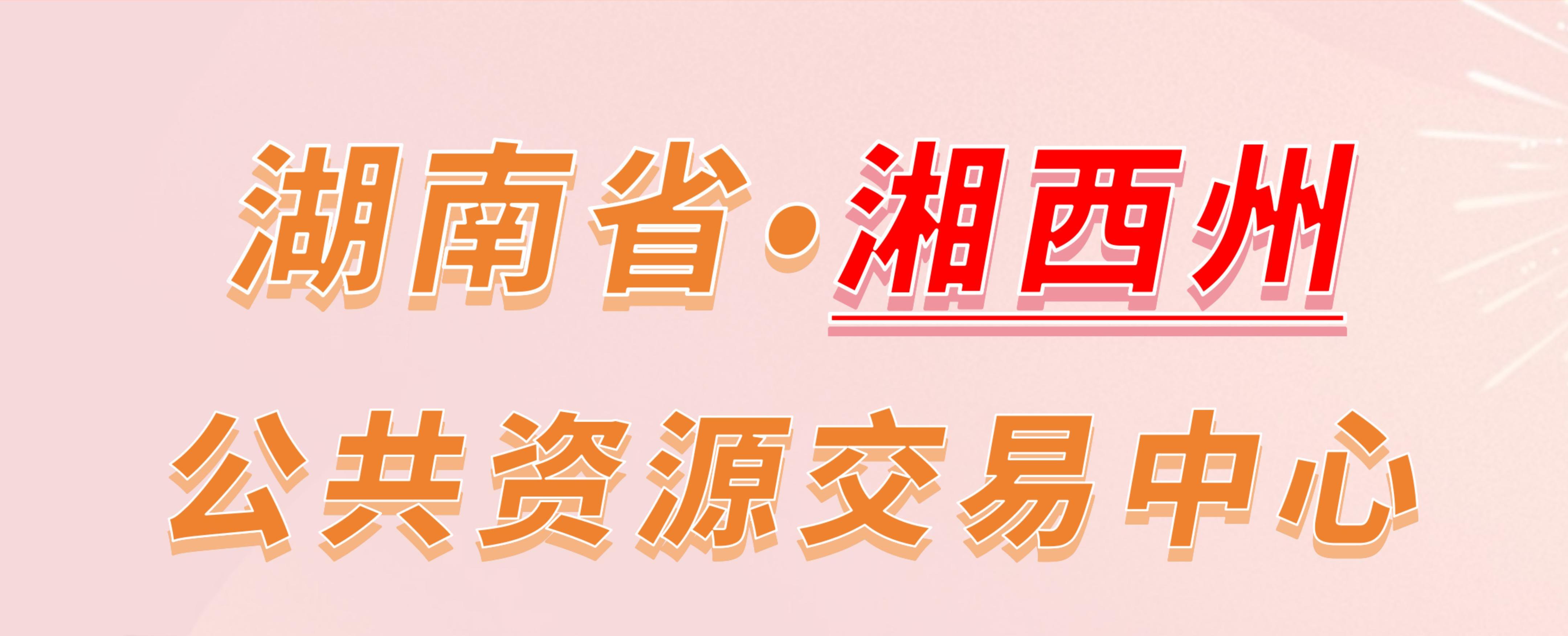 湖南省湘西州公共资源交易中心电子投标流程