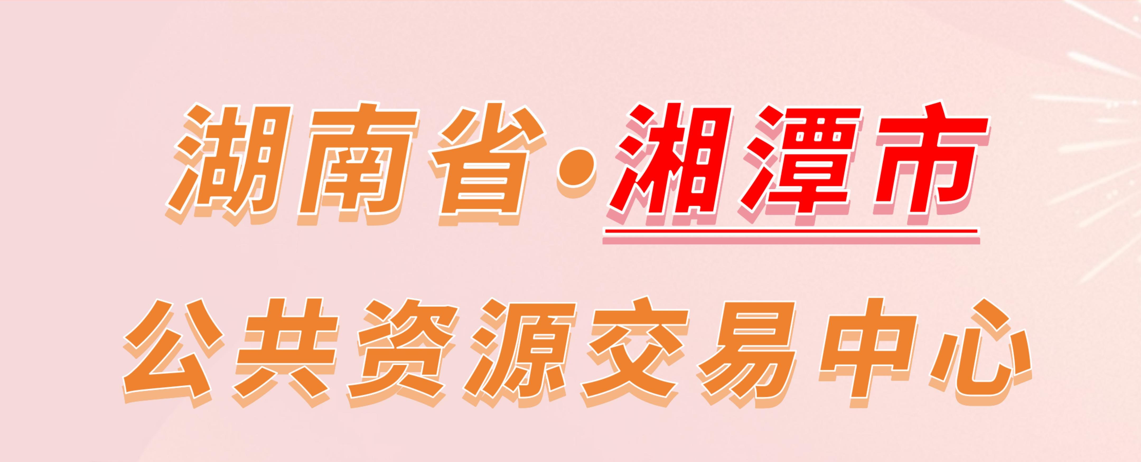 湖南省湘潭市公共资源交易中心电子投标流程