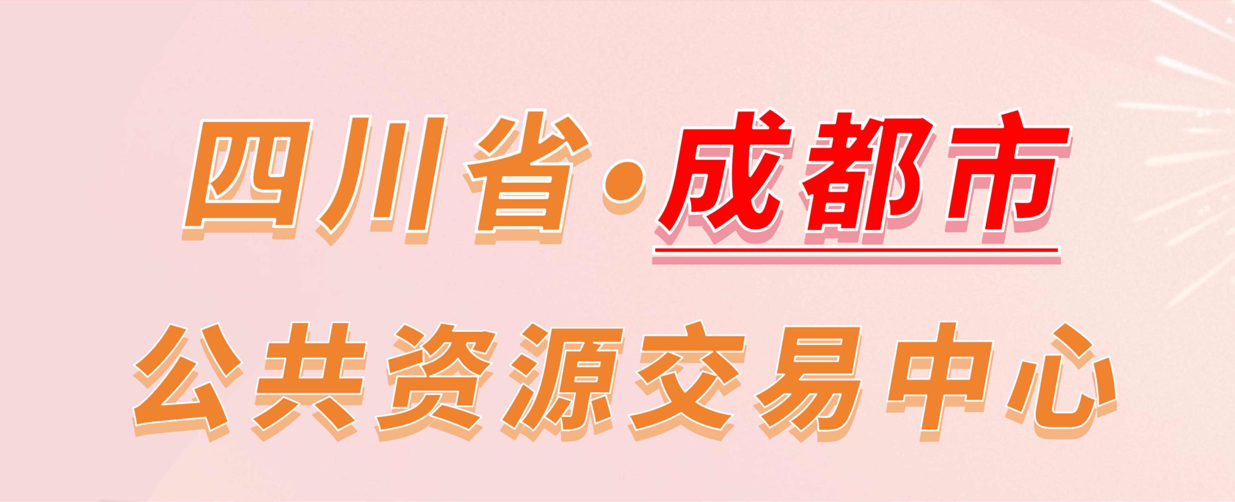 四川省成都市公共资源交易中心电子投标流程