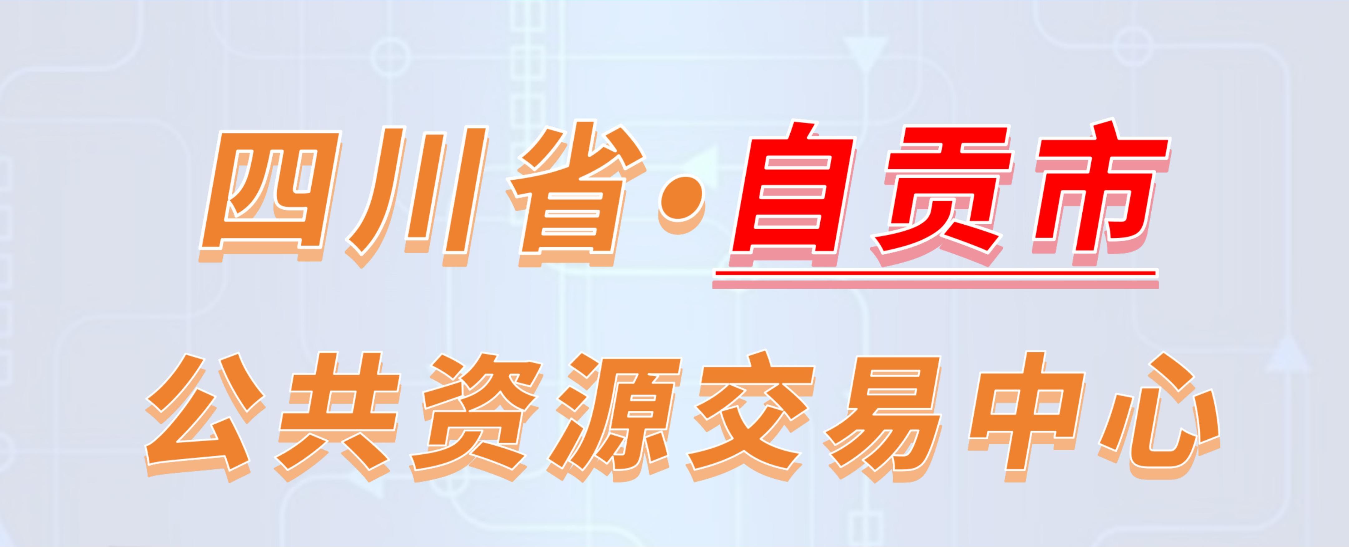 四川省自贡市公共资源交易中心电子投标流程