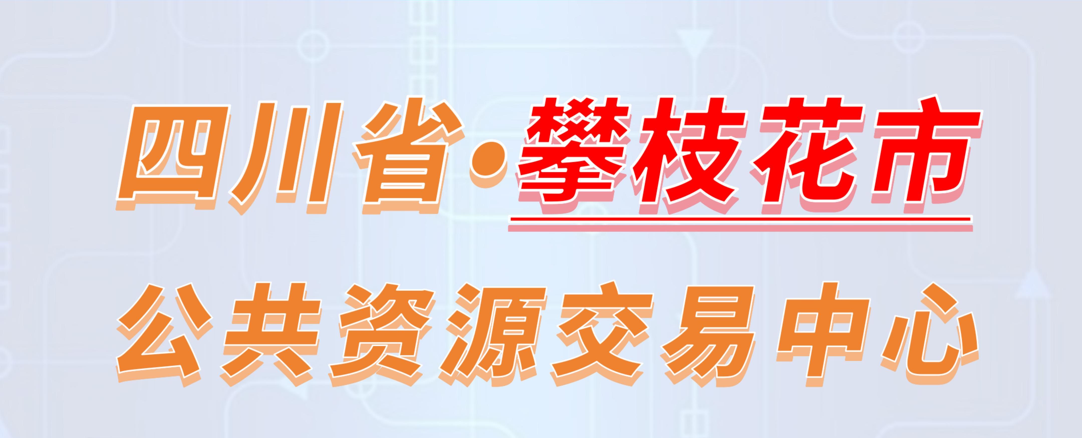 四川省攀枝花市公共资源交易中心电子投标流程