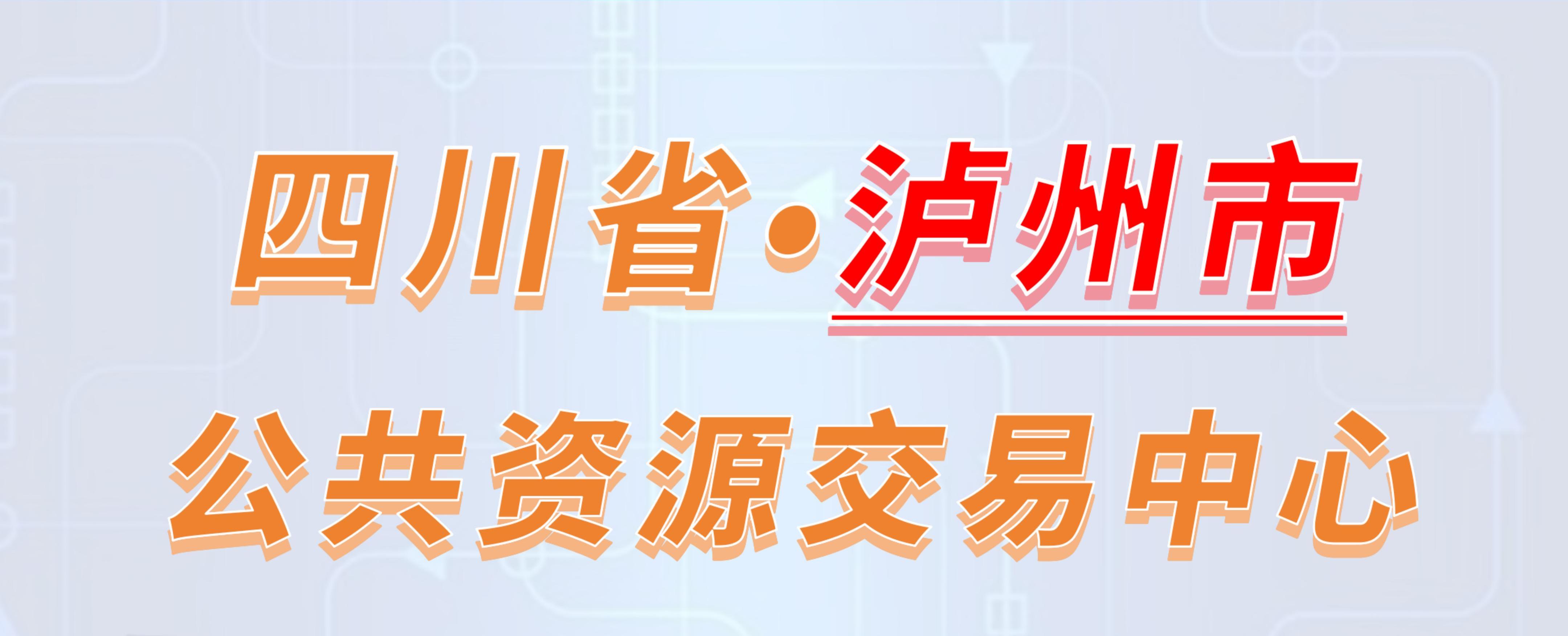 四川省泸州市公共资源交易中心电子投标流程