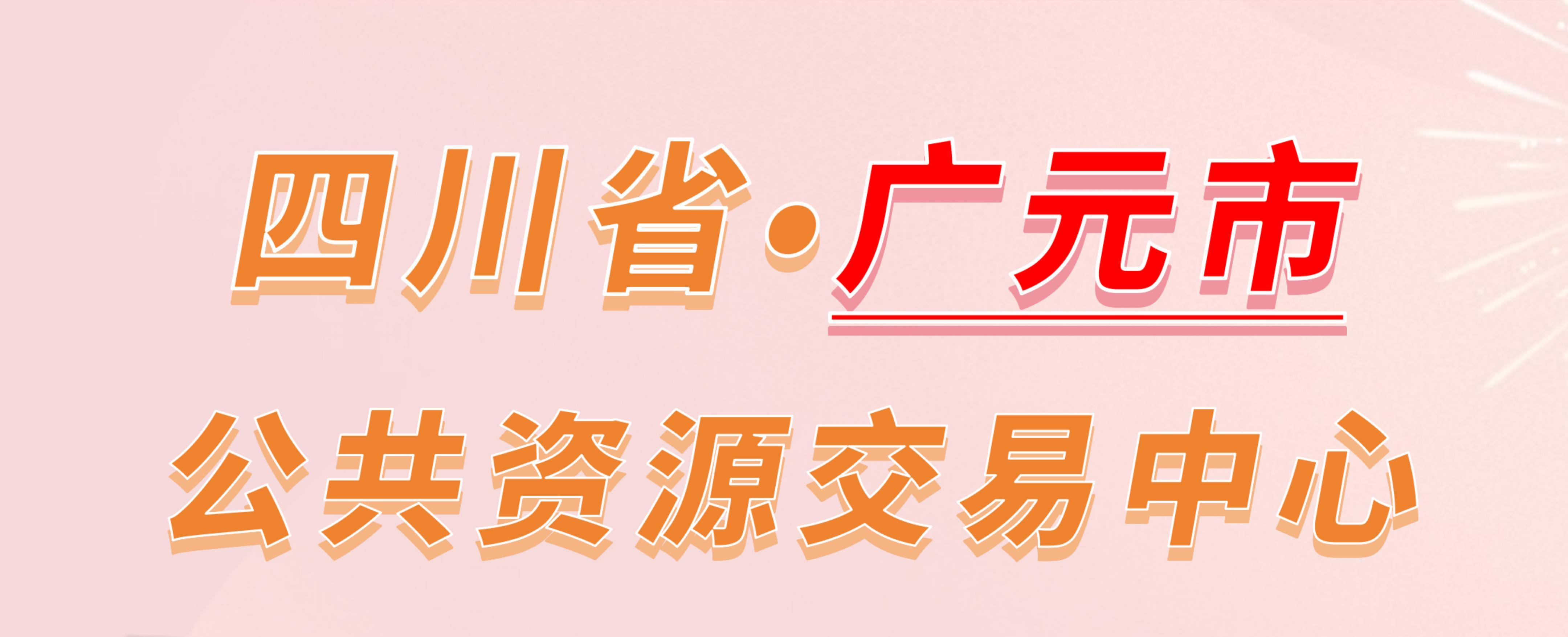 四川省广元市公共资源交易中心电子投标流程