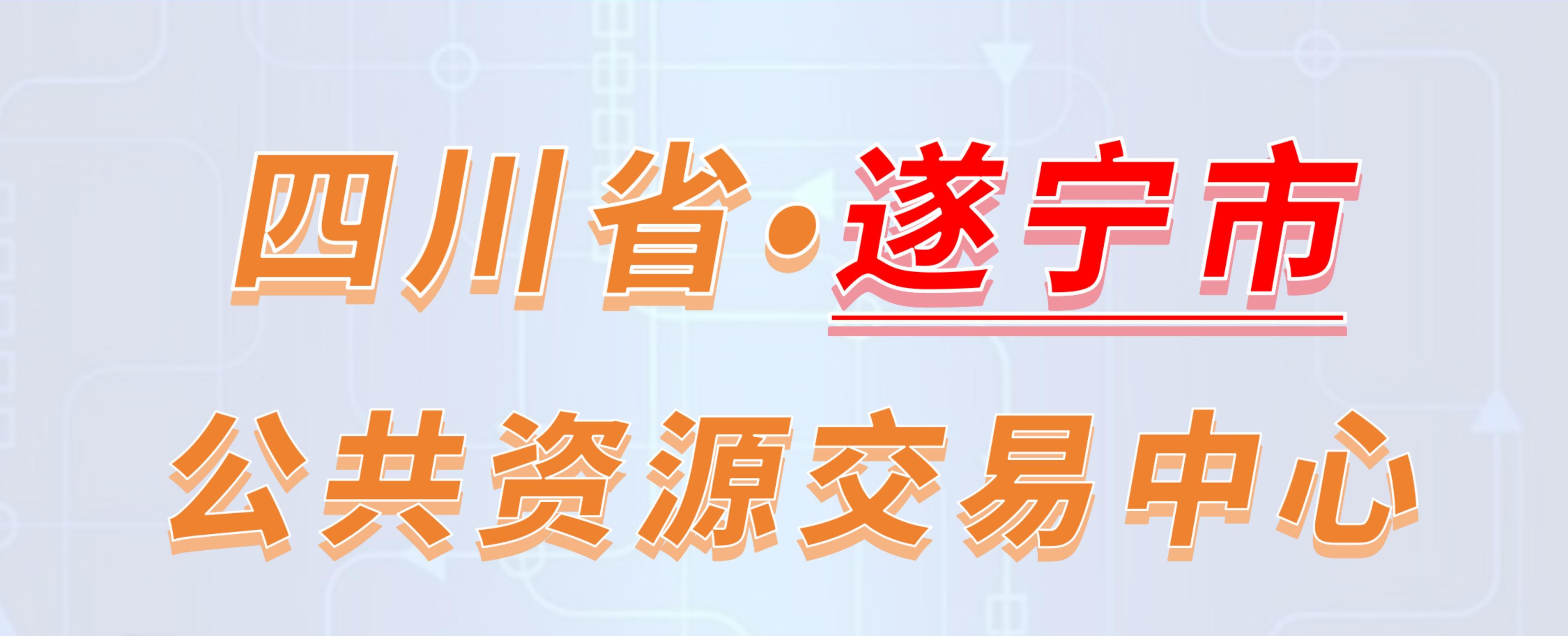 四川省遂宁市公共资源交易中心电子投标流程