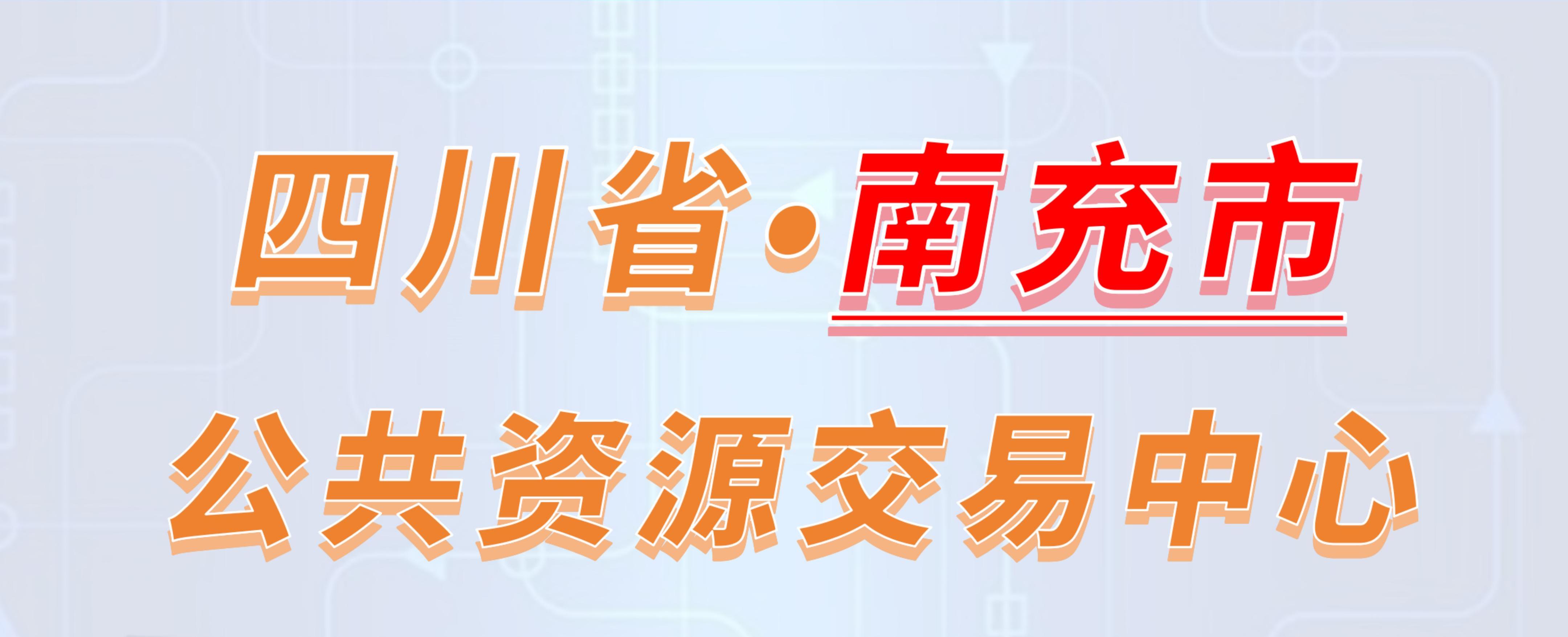 四川省南充市公共资源交易中心电子投标流程