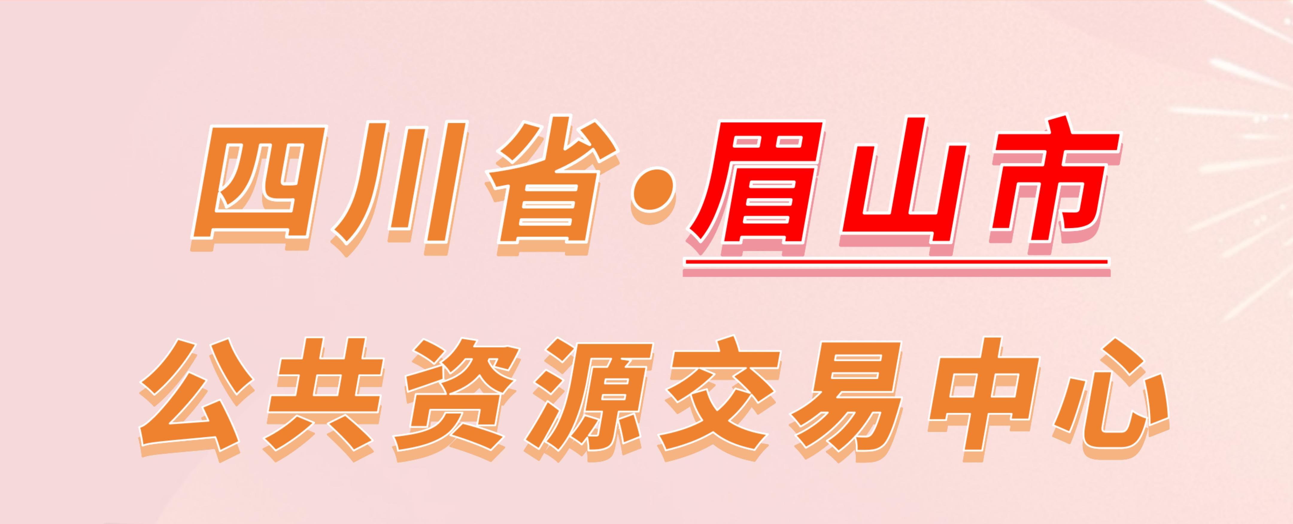 四川省眉山市公共资源交易中心电子投标流程