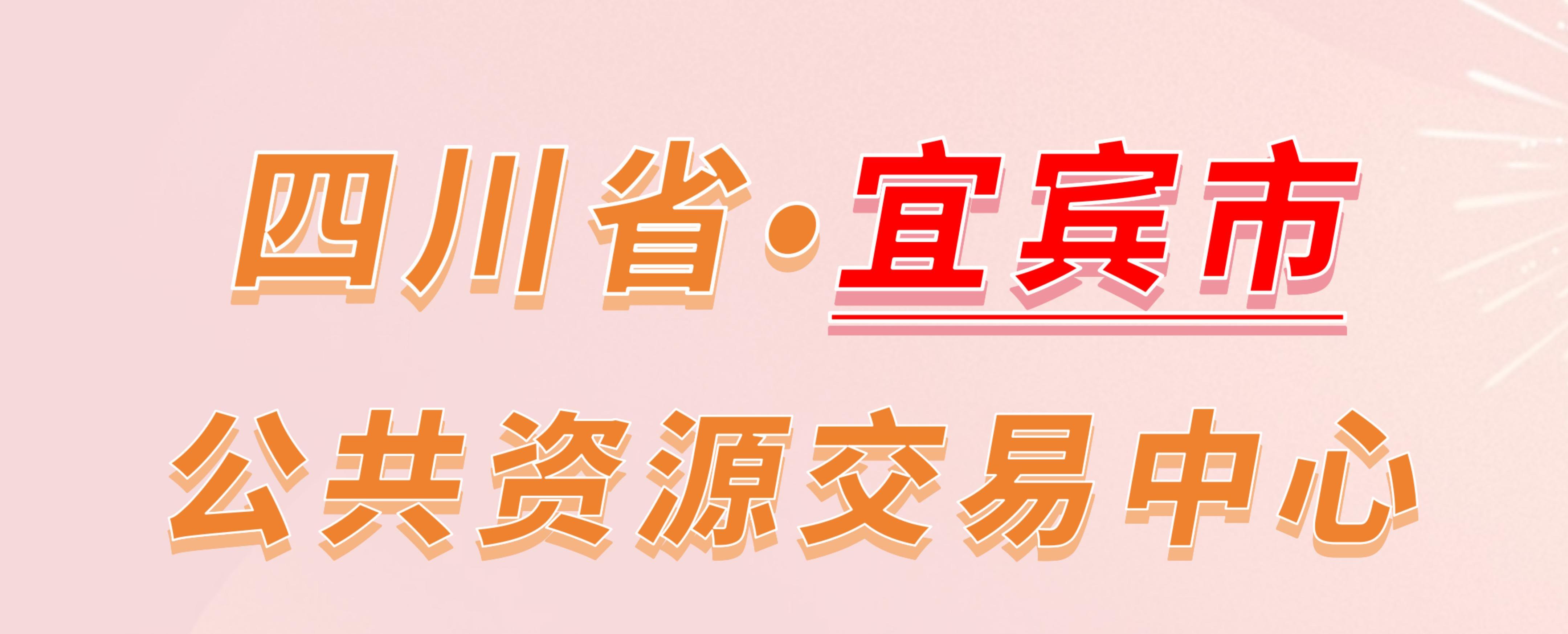 四川省宜宾市公共资源交易中心电子投标流程