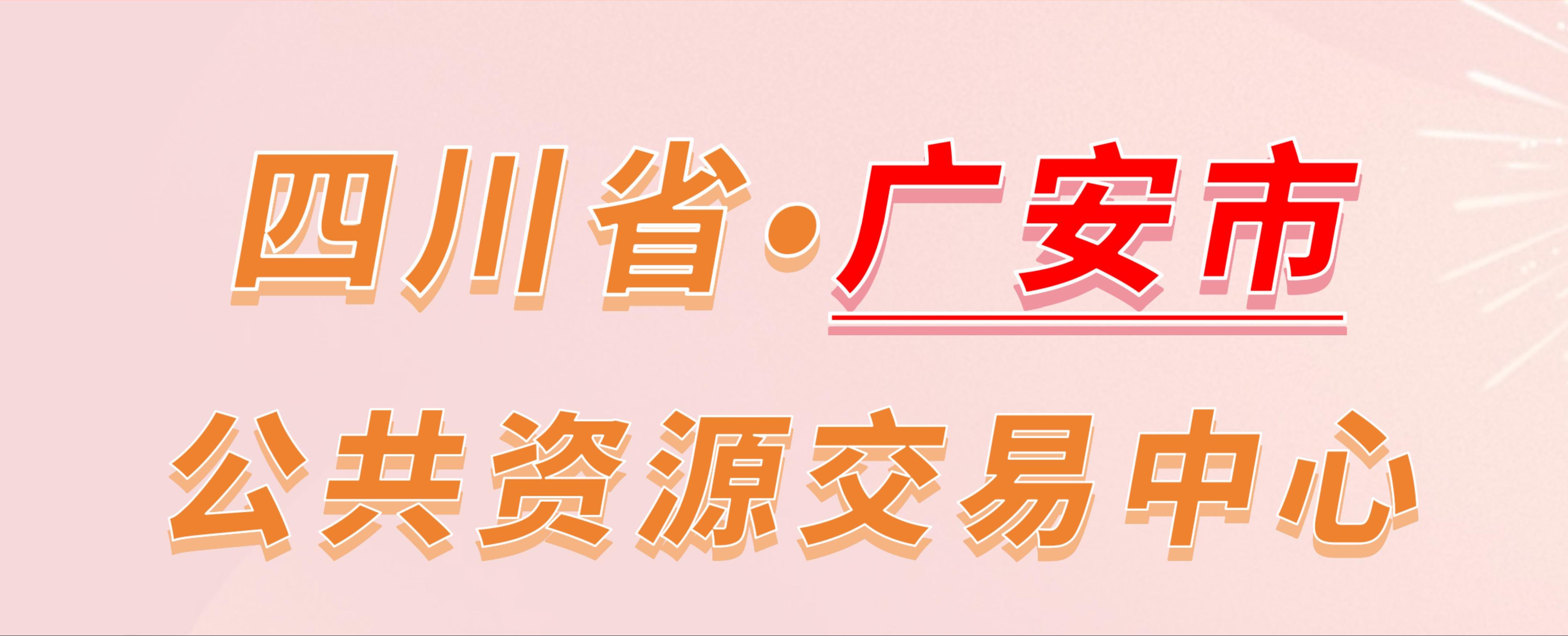 四川省广安市公共资源交易中心电子投标流程