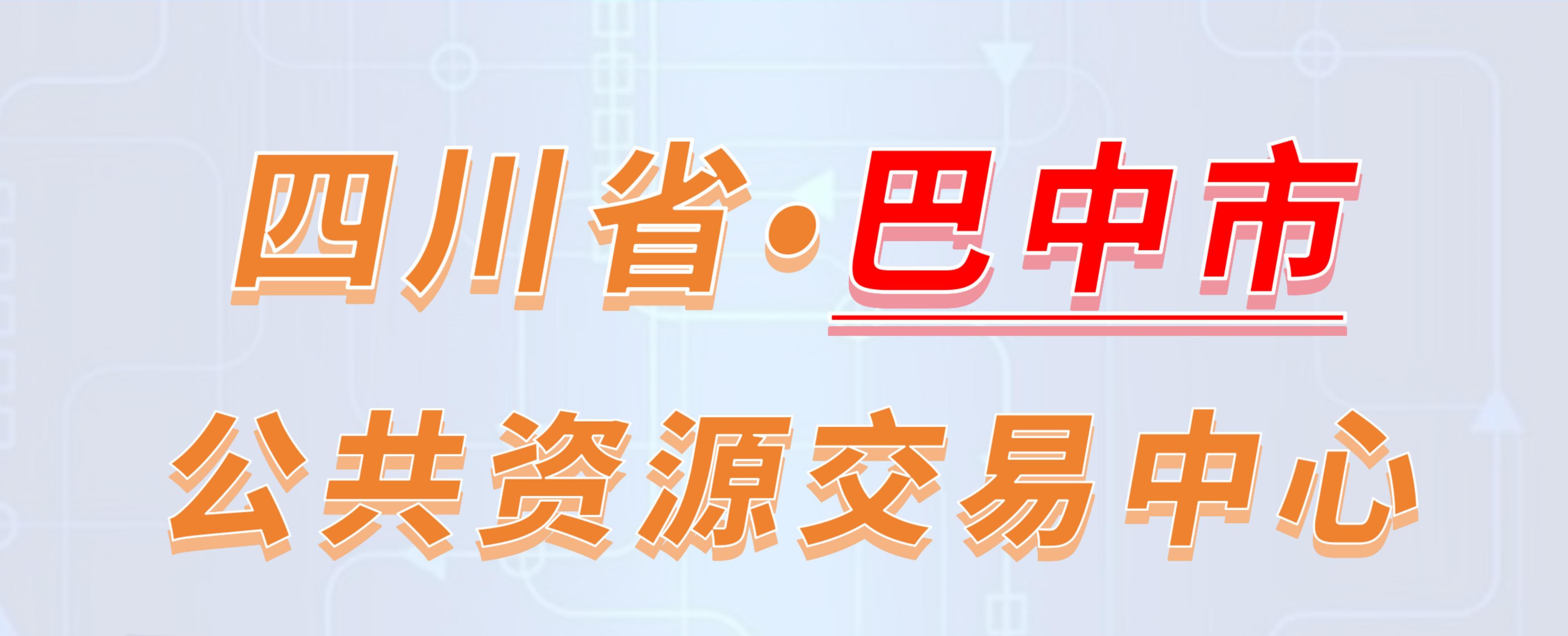 四川省巴中市公共资源交易中心电子投标流程