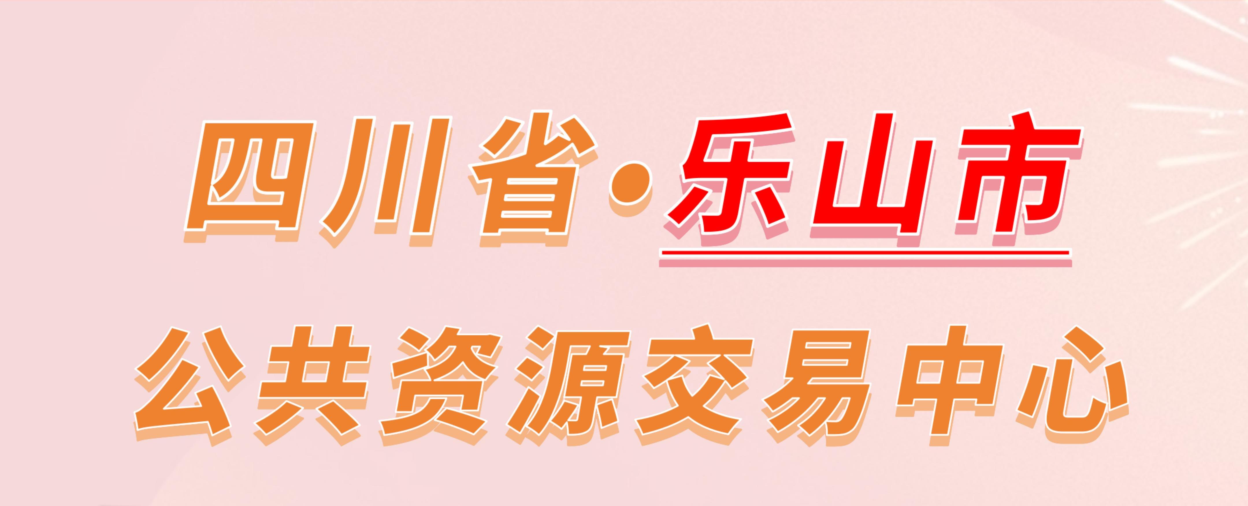 四川省乐山市公共资源交易中心电子投标流程