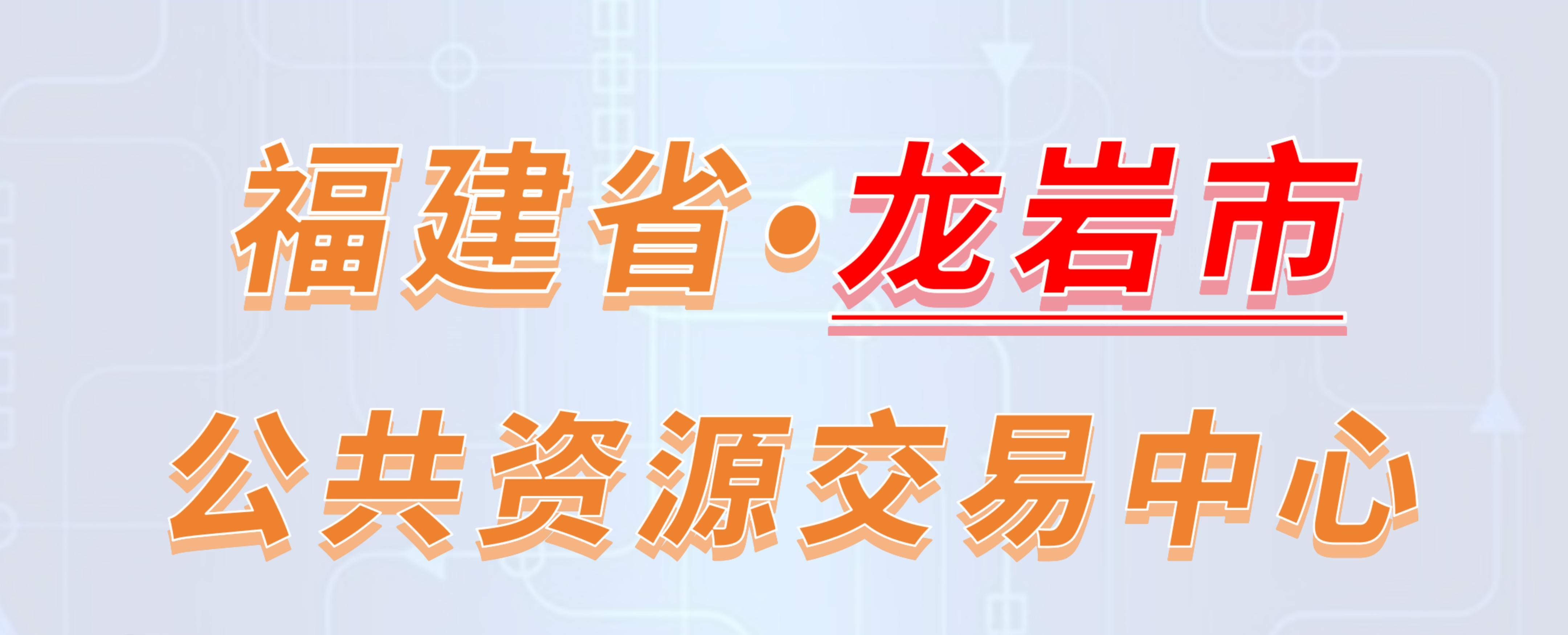 福建省龙岩市公共资源交易中心电子投标流程