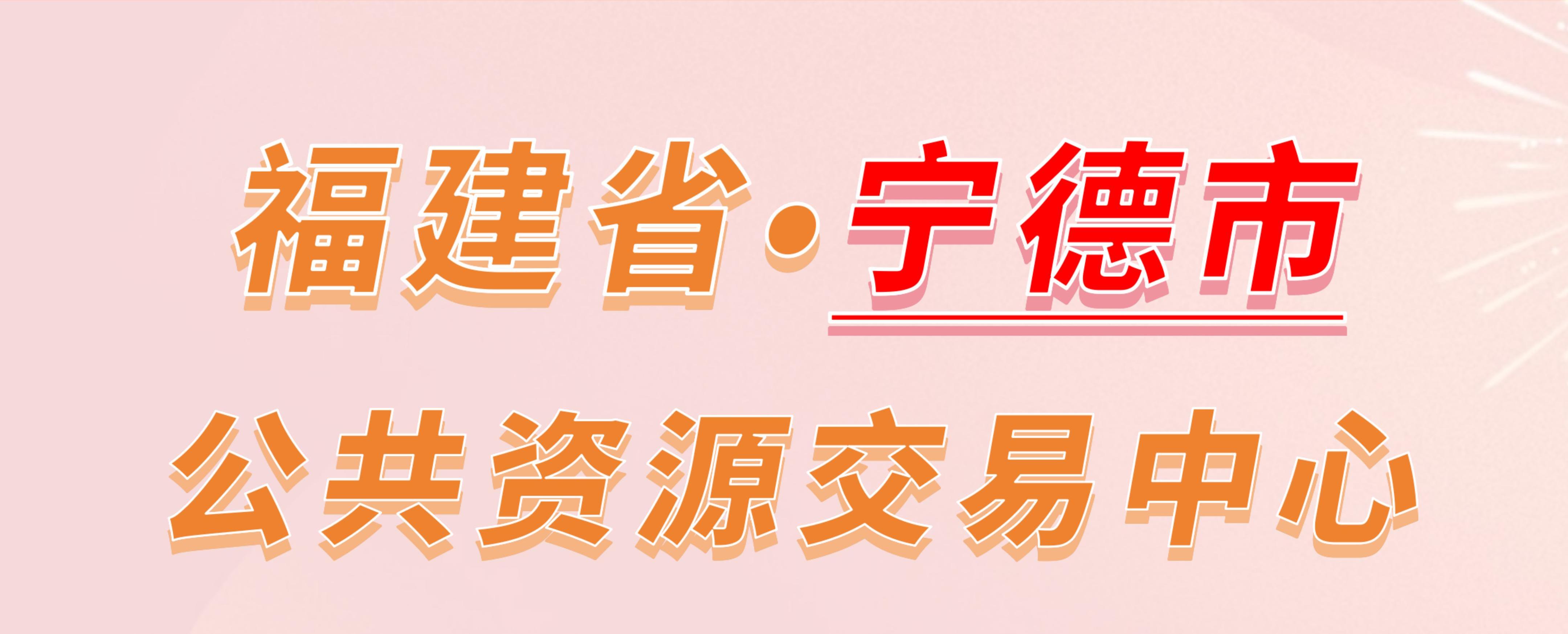 福建省宁德市公共资源交易中心电子投标流程
