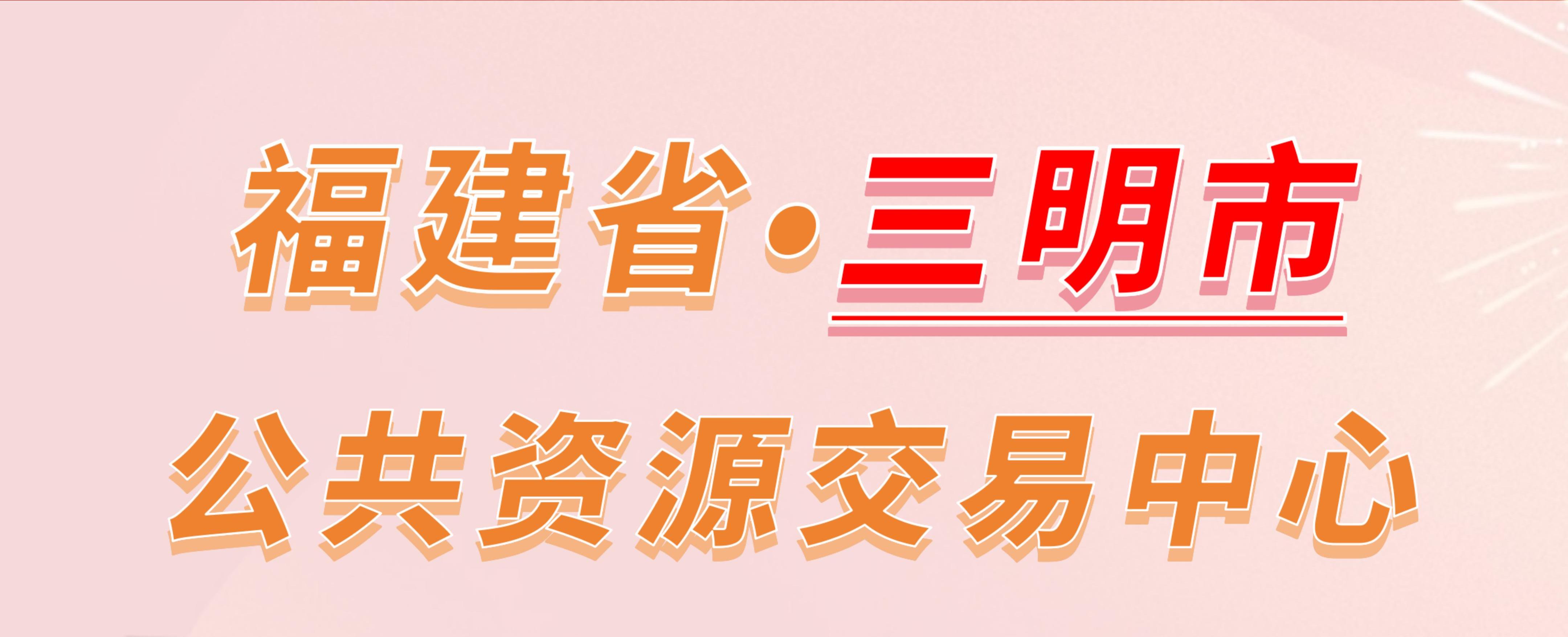 福建省三明市公共资源交易中心电子投标流程