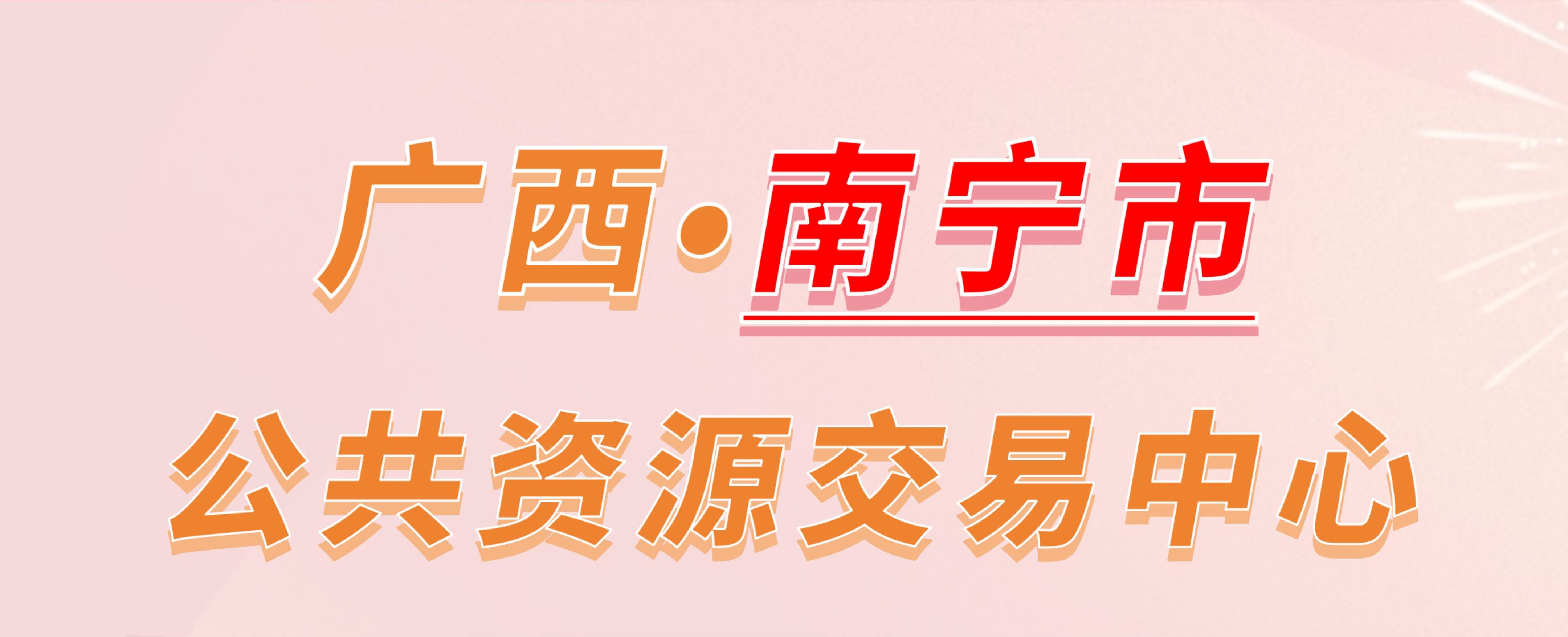 广西南宁市公共资源交易中心电子投标流程