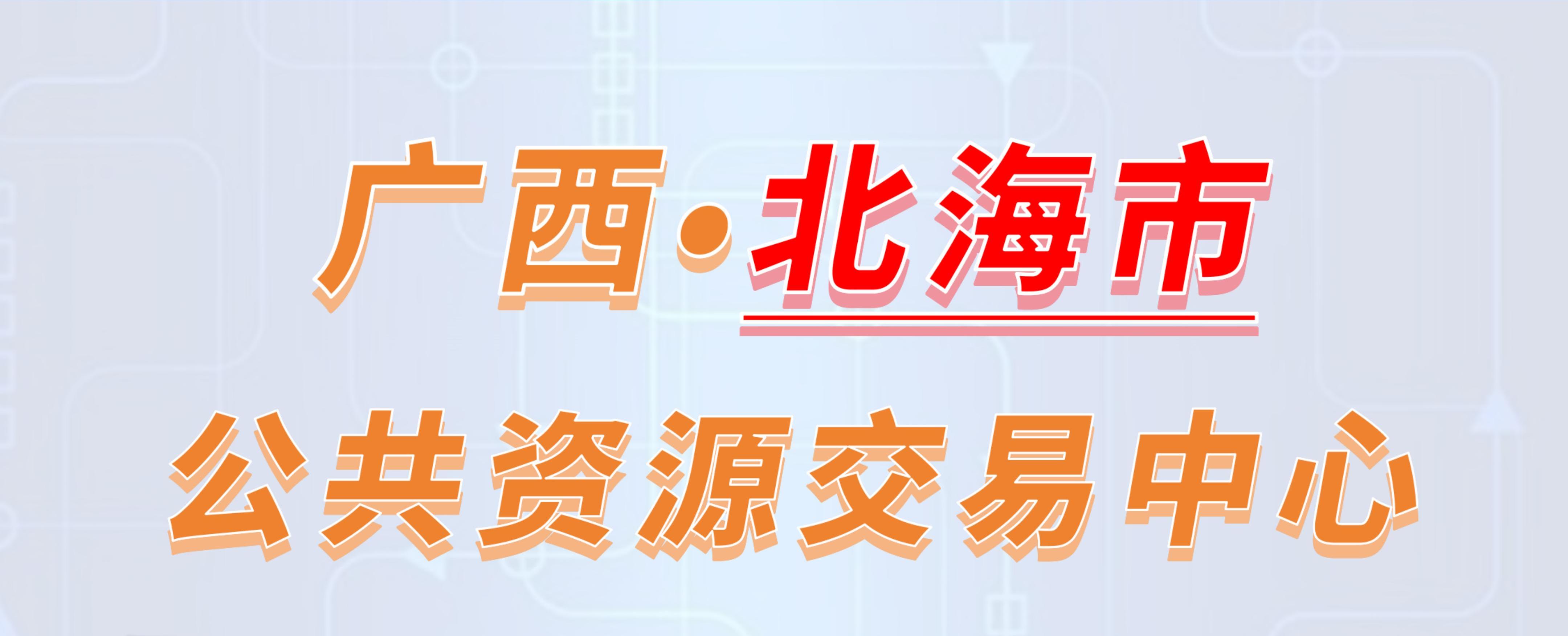 广西北海市公共资源交易中心电子投标流程