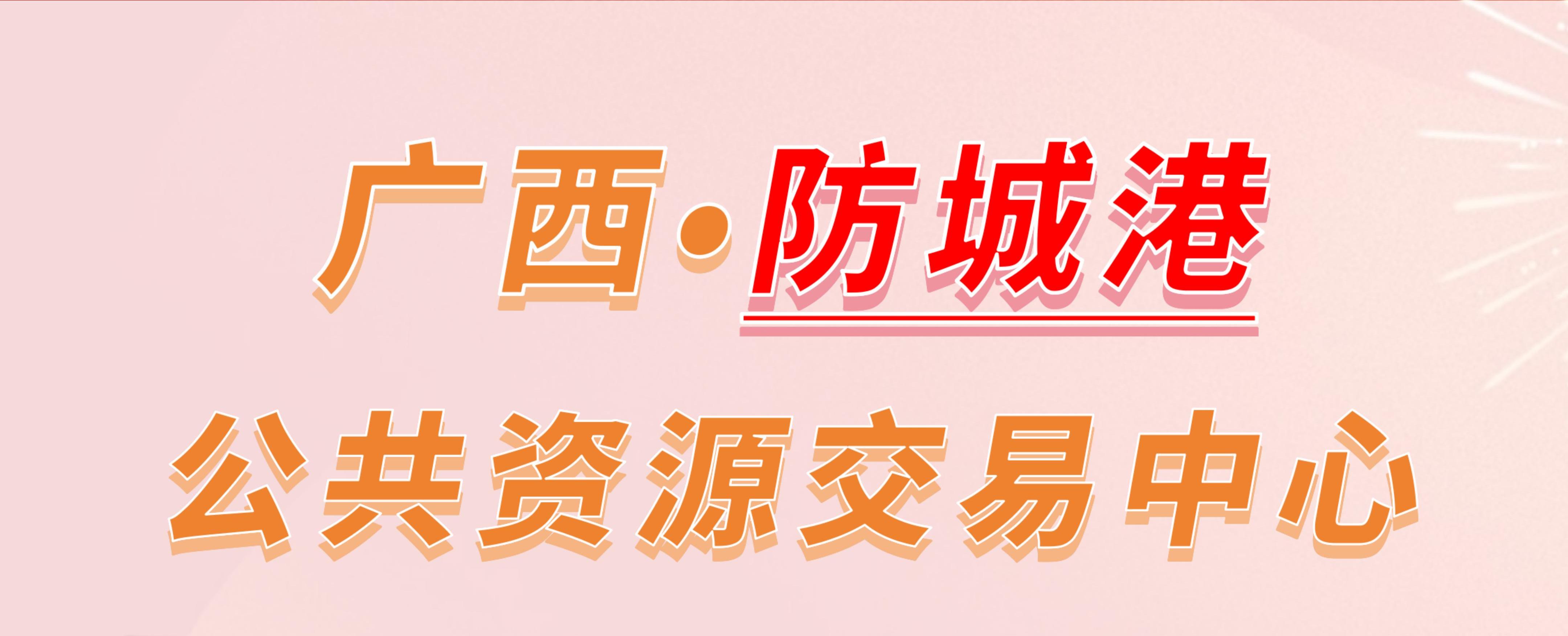 广西防城港市公共资源交易中心电子投标流程