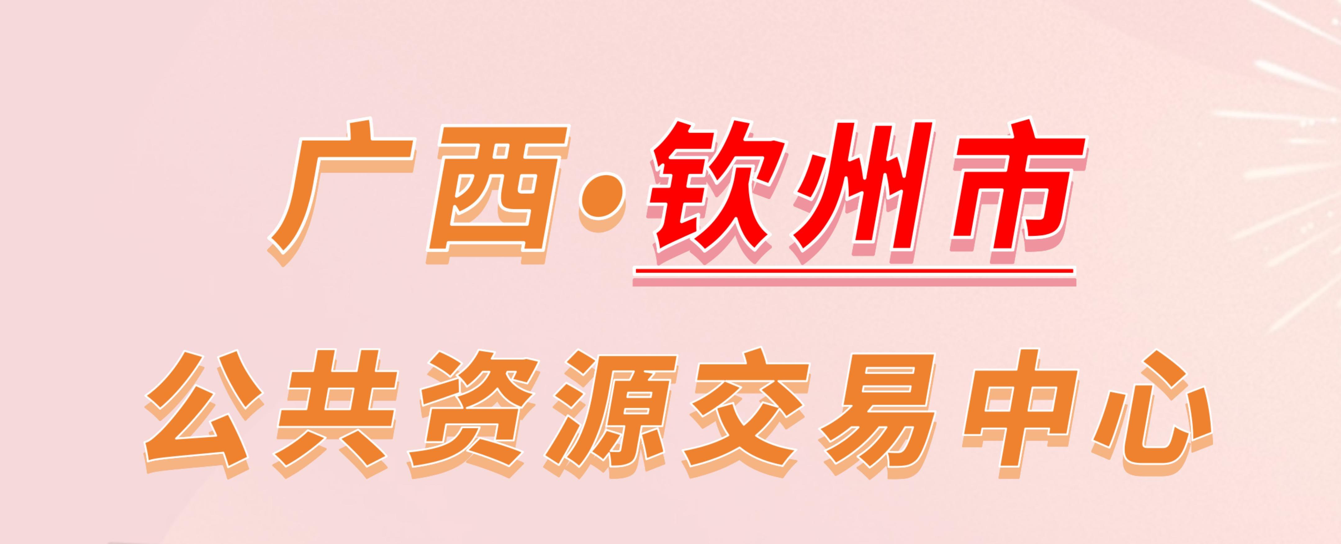 广西钦州市公共资源交易中心电子投标流程